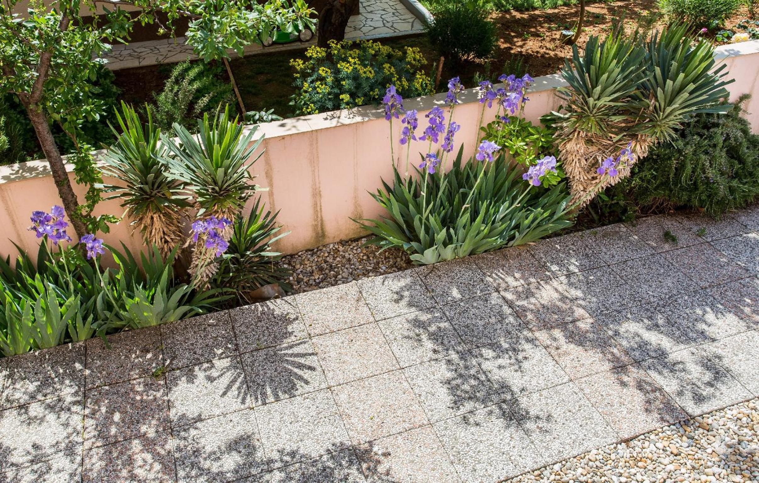 Apartmani Andreas