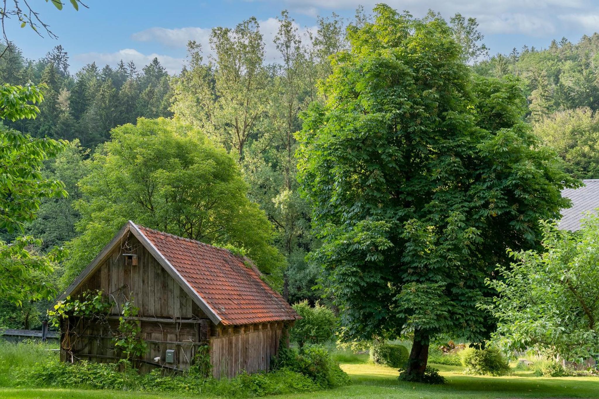 Ferienwohnungen Mittermurnthal view 5