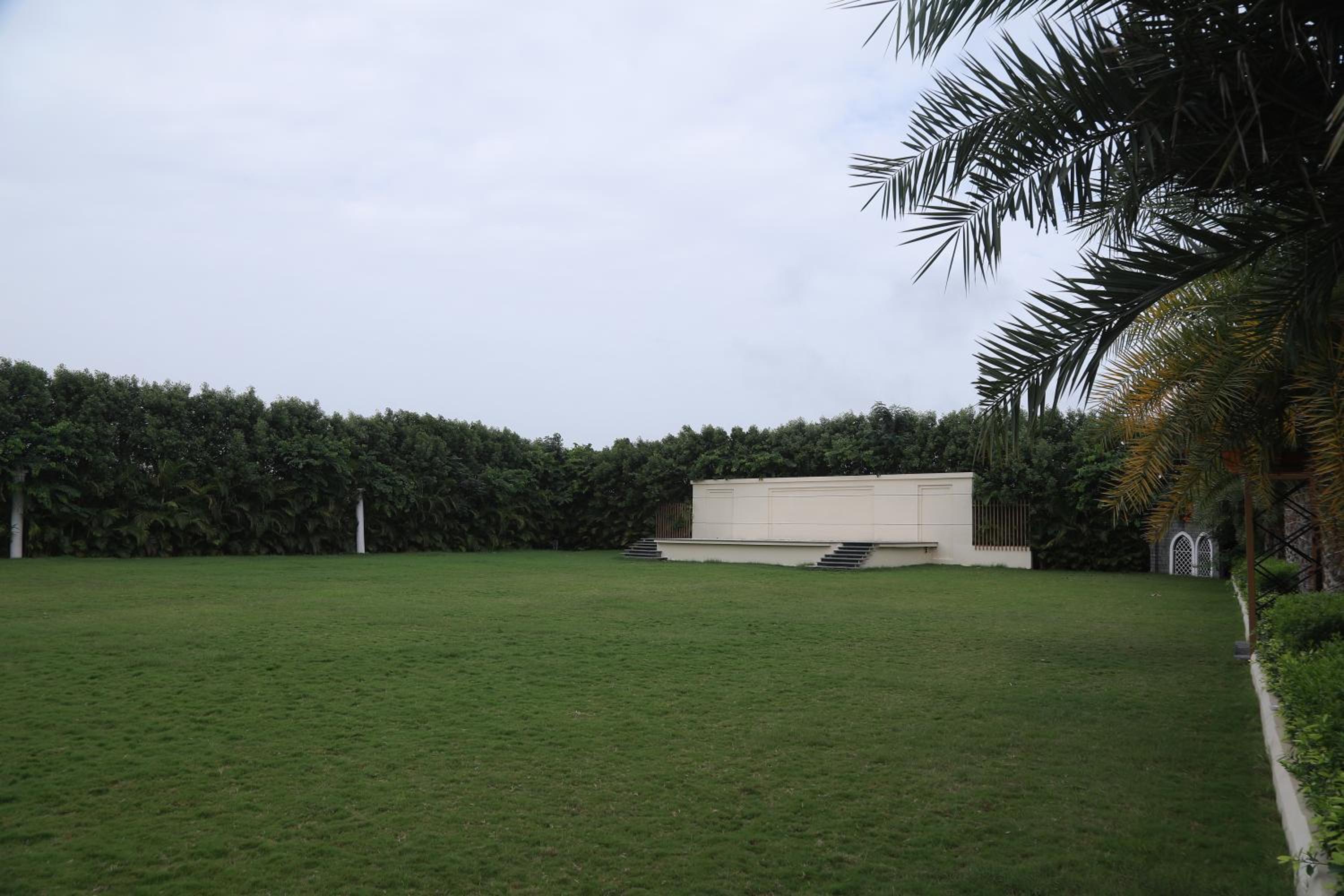 Photo 43
