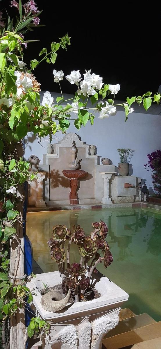 Midoun Vacations - Djerbahouch - Property Image 6