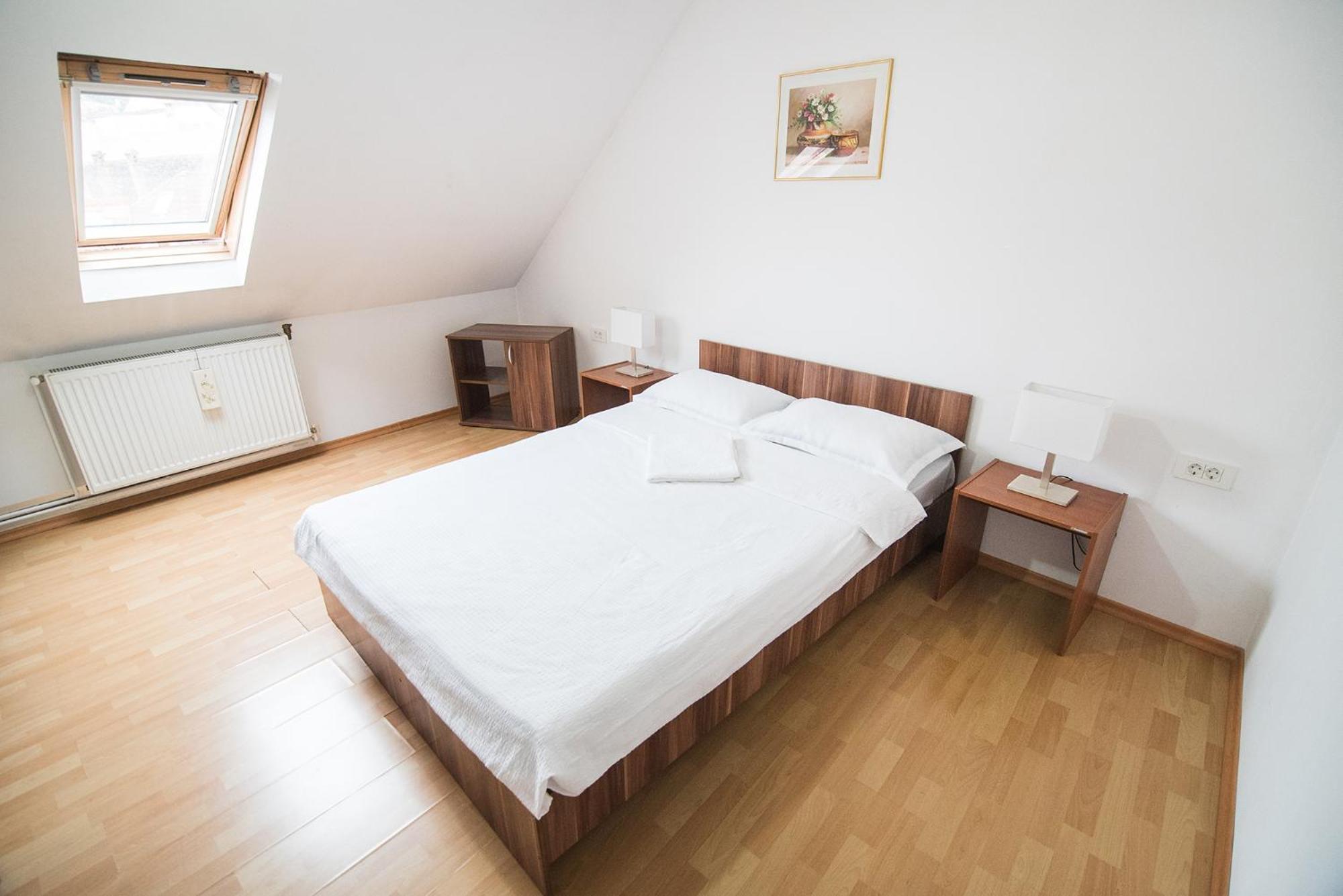 Transylvania Guest House view 3