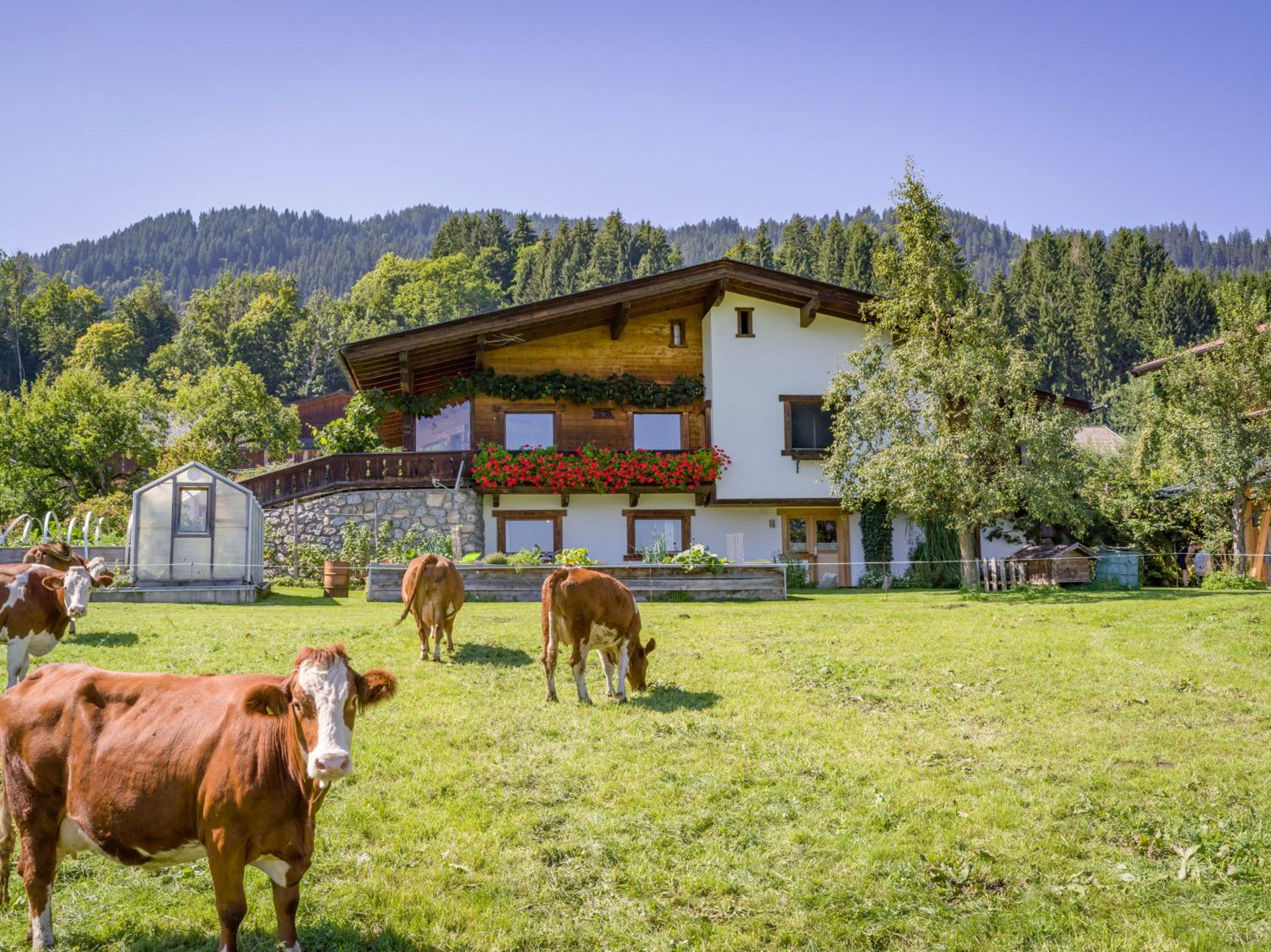 Appartement Salvenblick