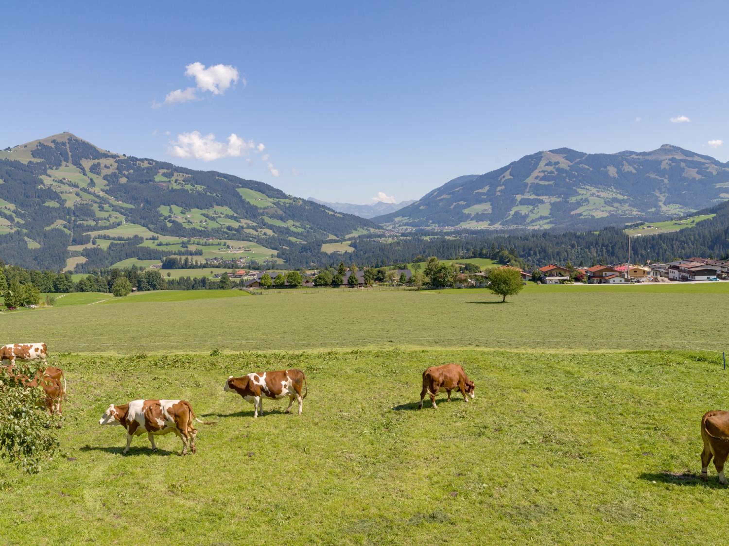 Appartement Salvenblick