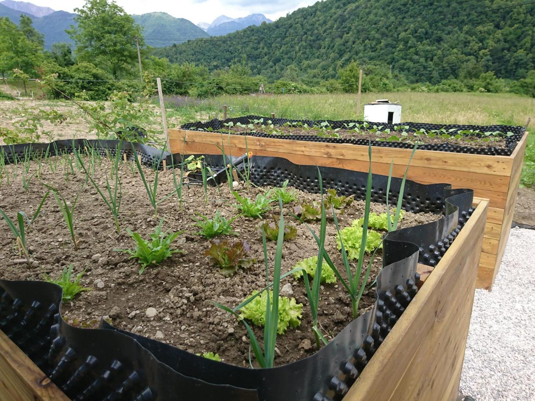 Photo 44
