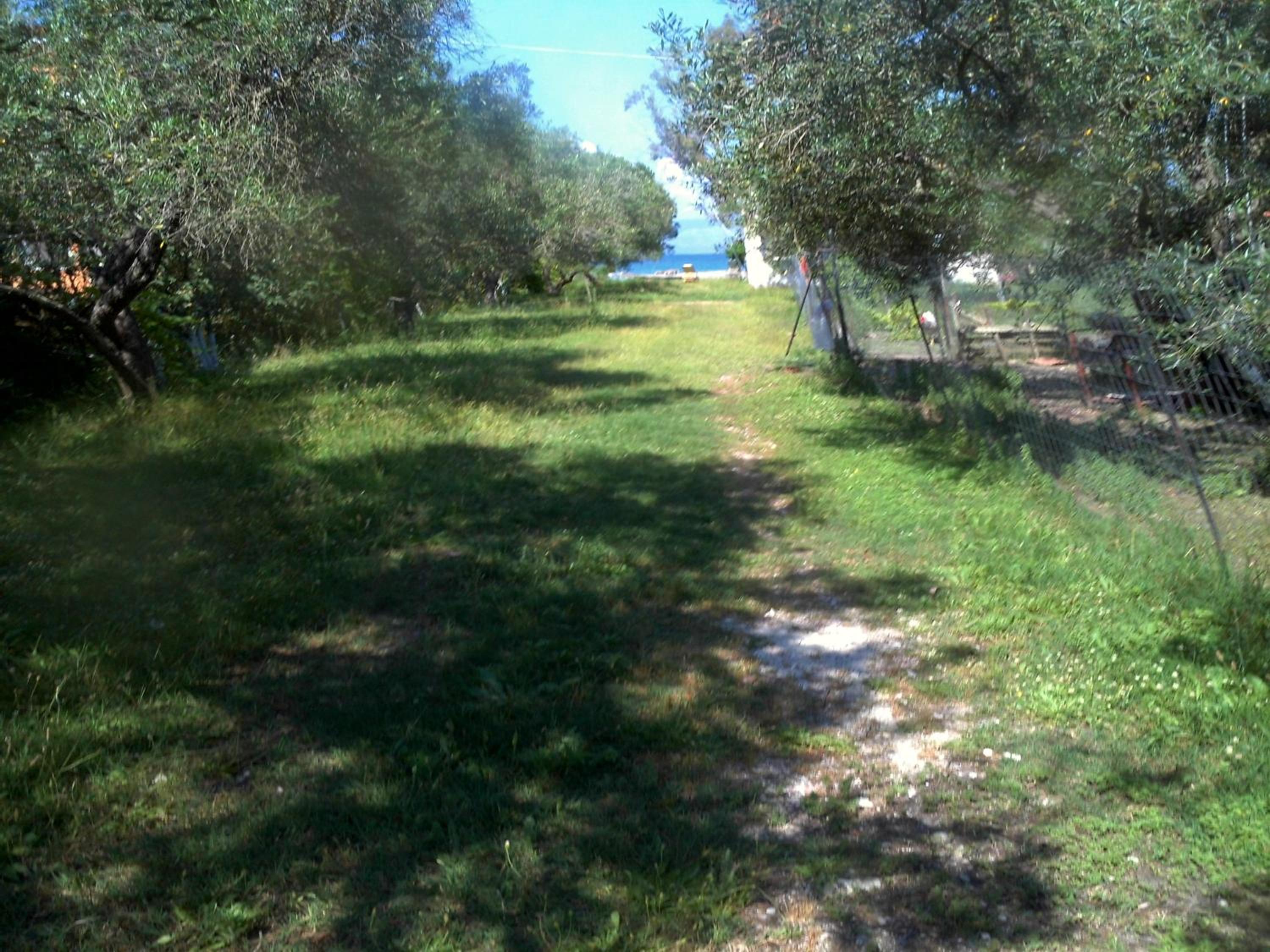 Photo 41