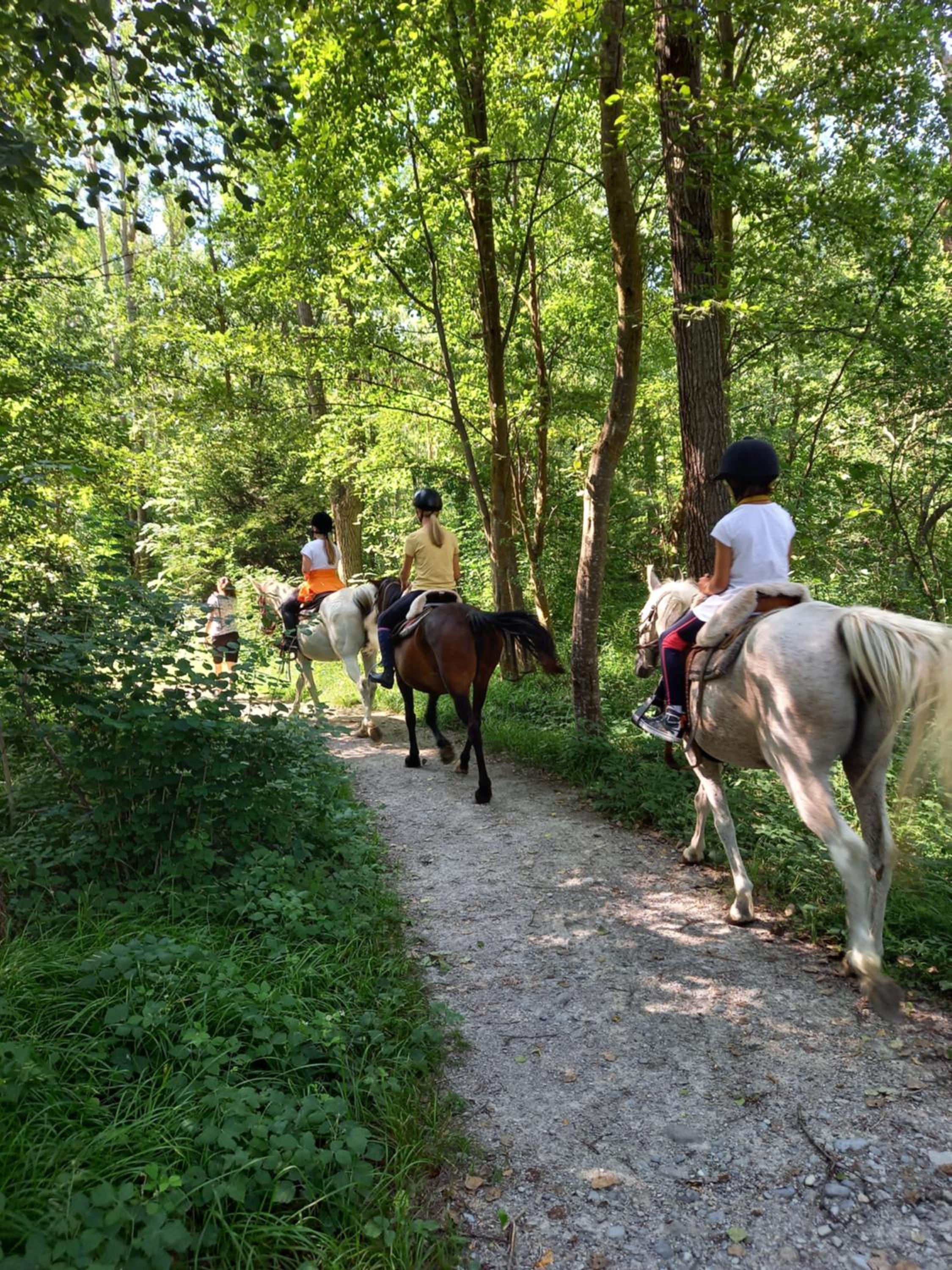 Pferdehof Ansteingut view 4