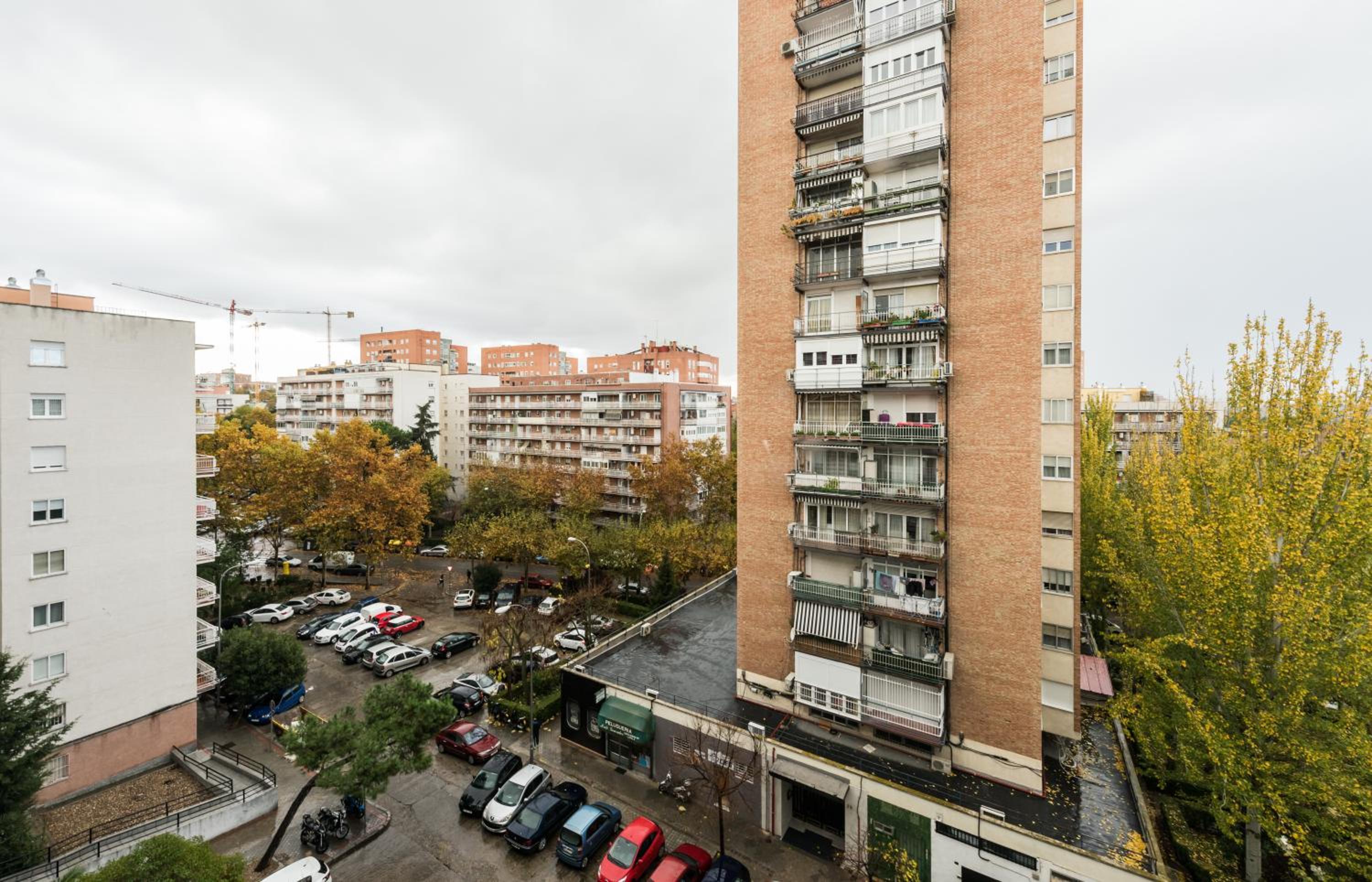 Photo 39