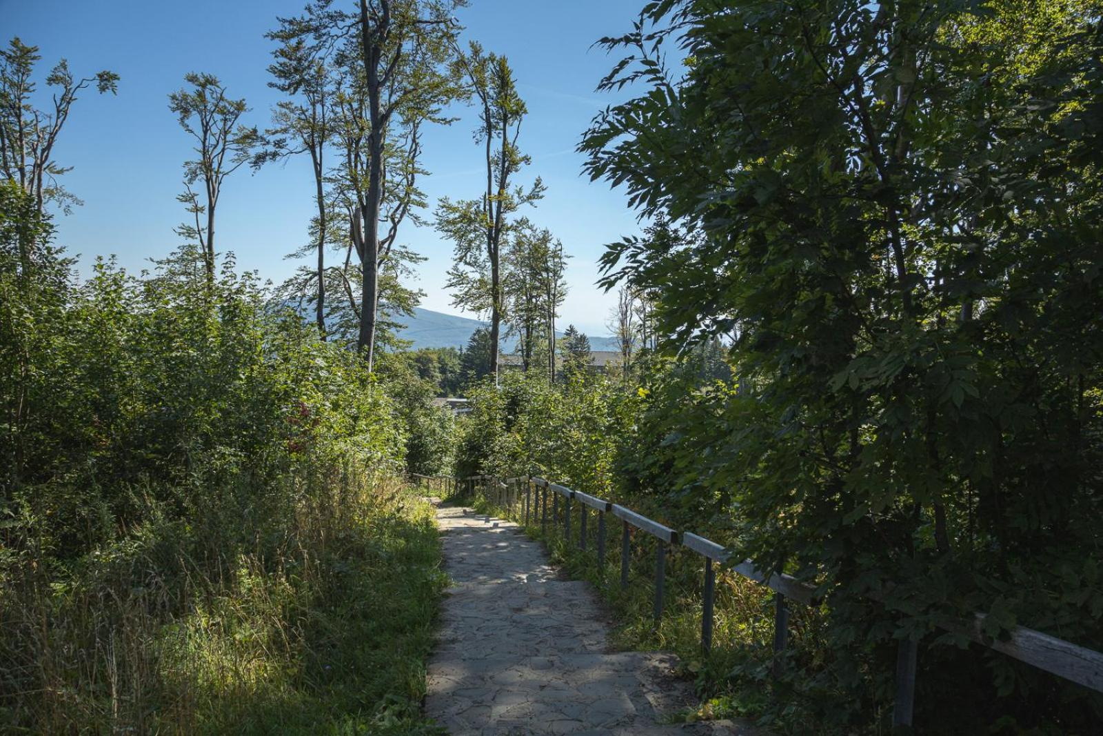 Photo 43