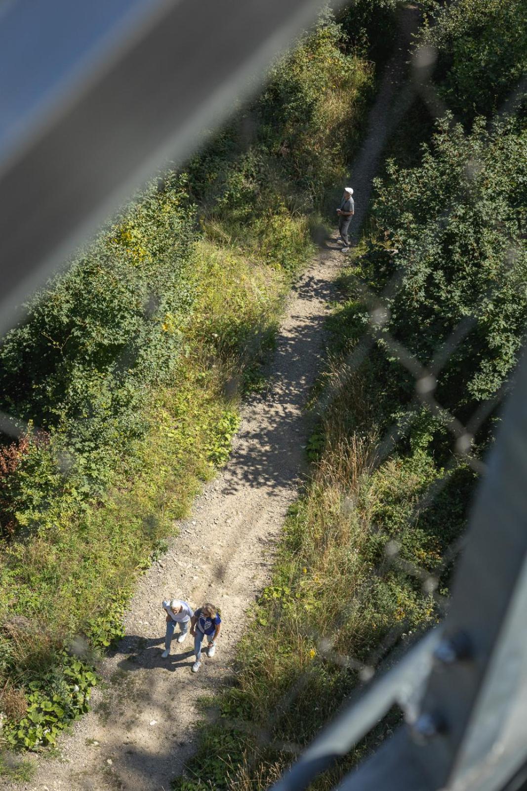 Photo 42