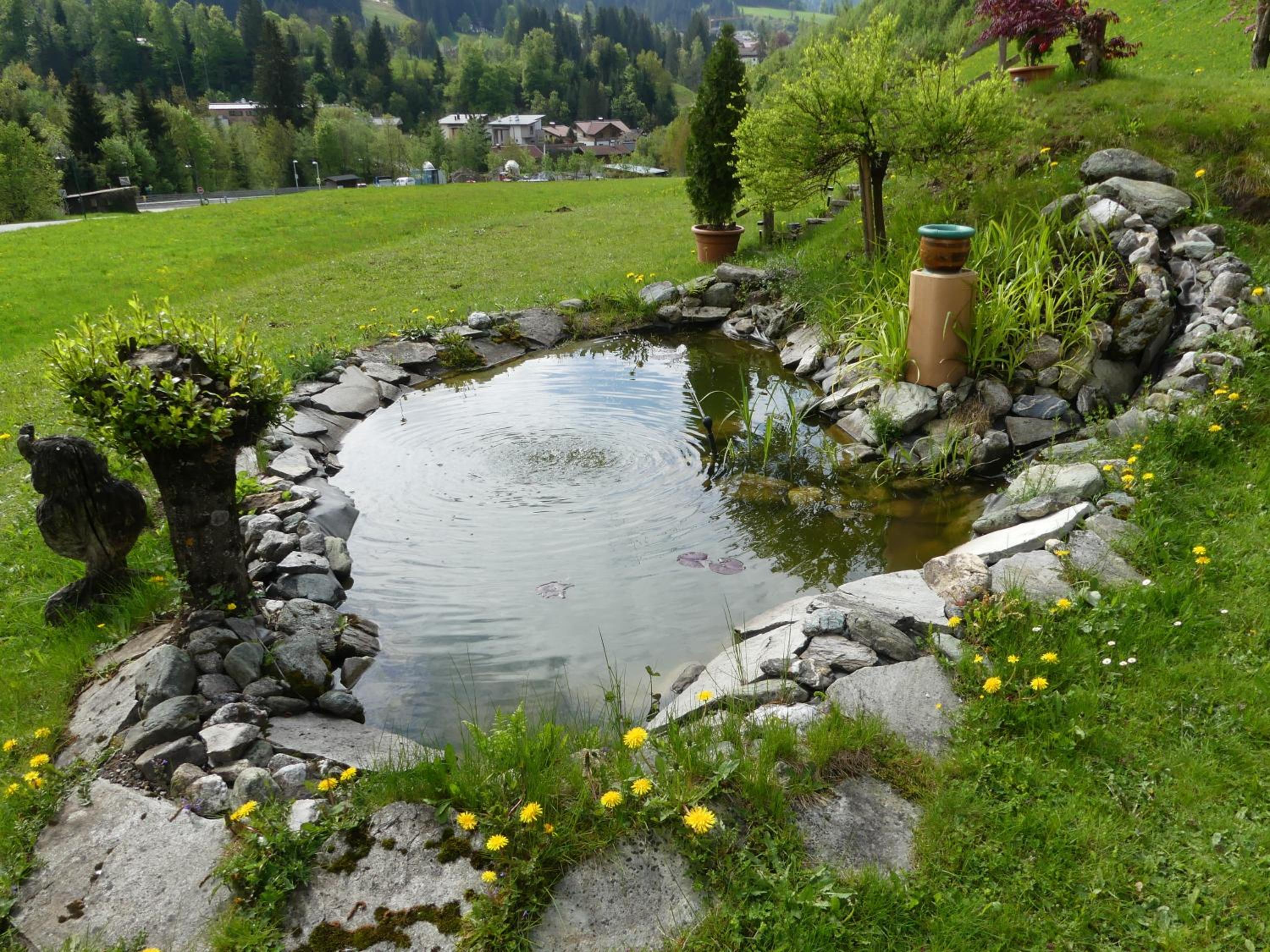 Photo 26