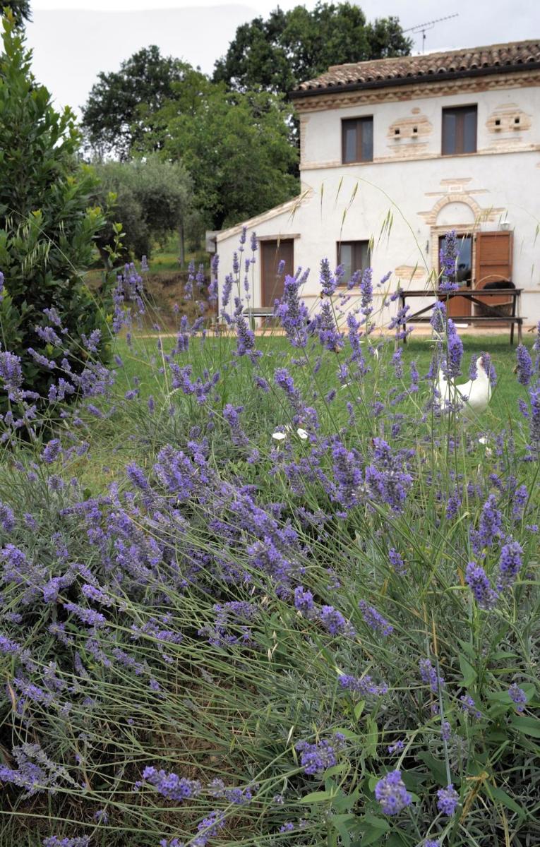 Agriturismo Il Gelso Antico