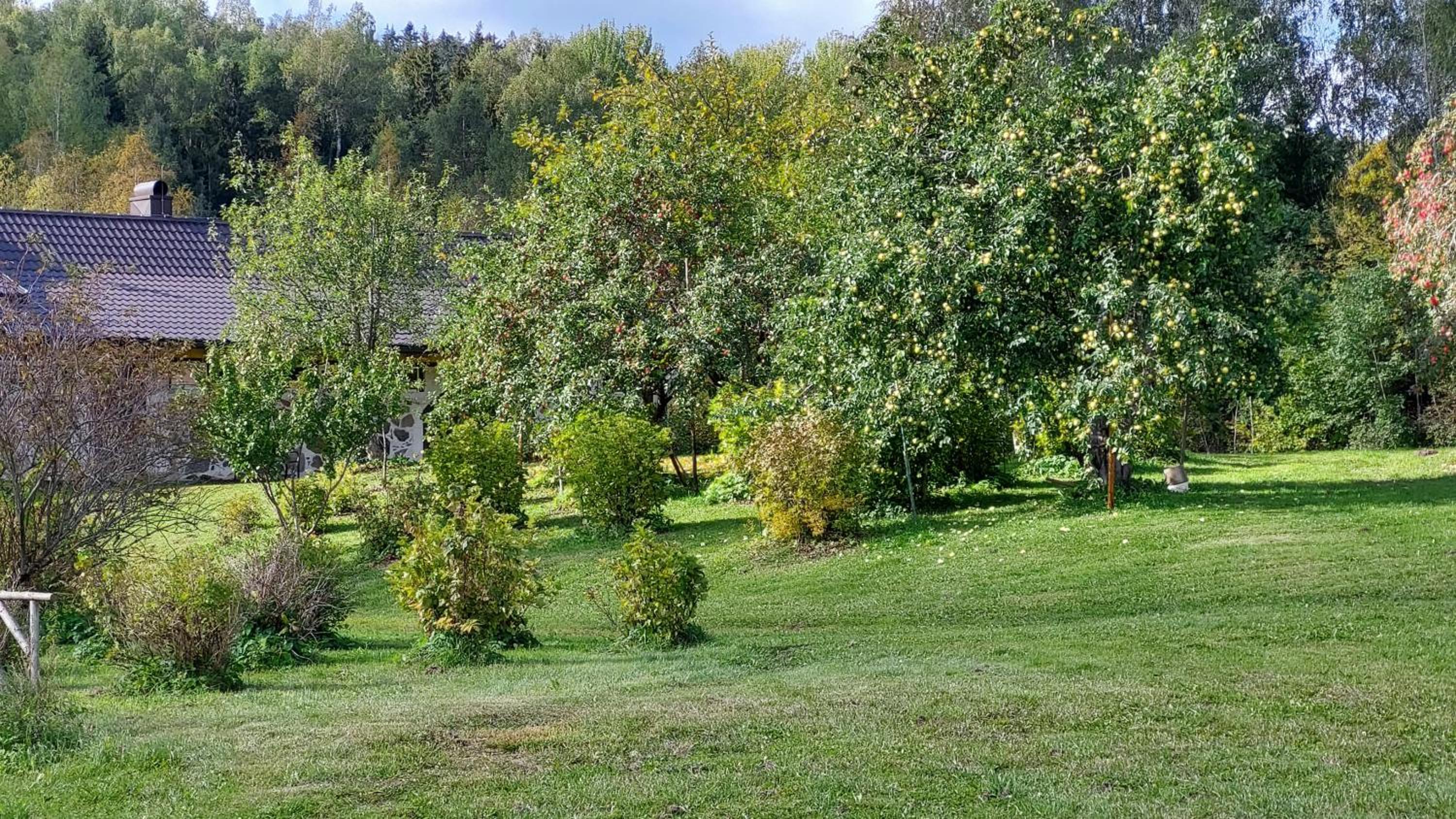 Photo 36