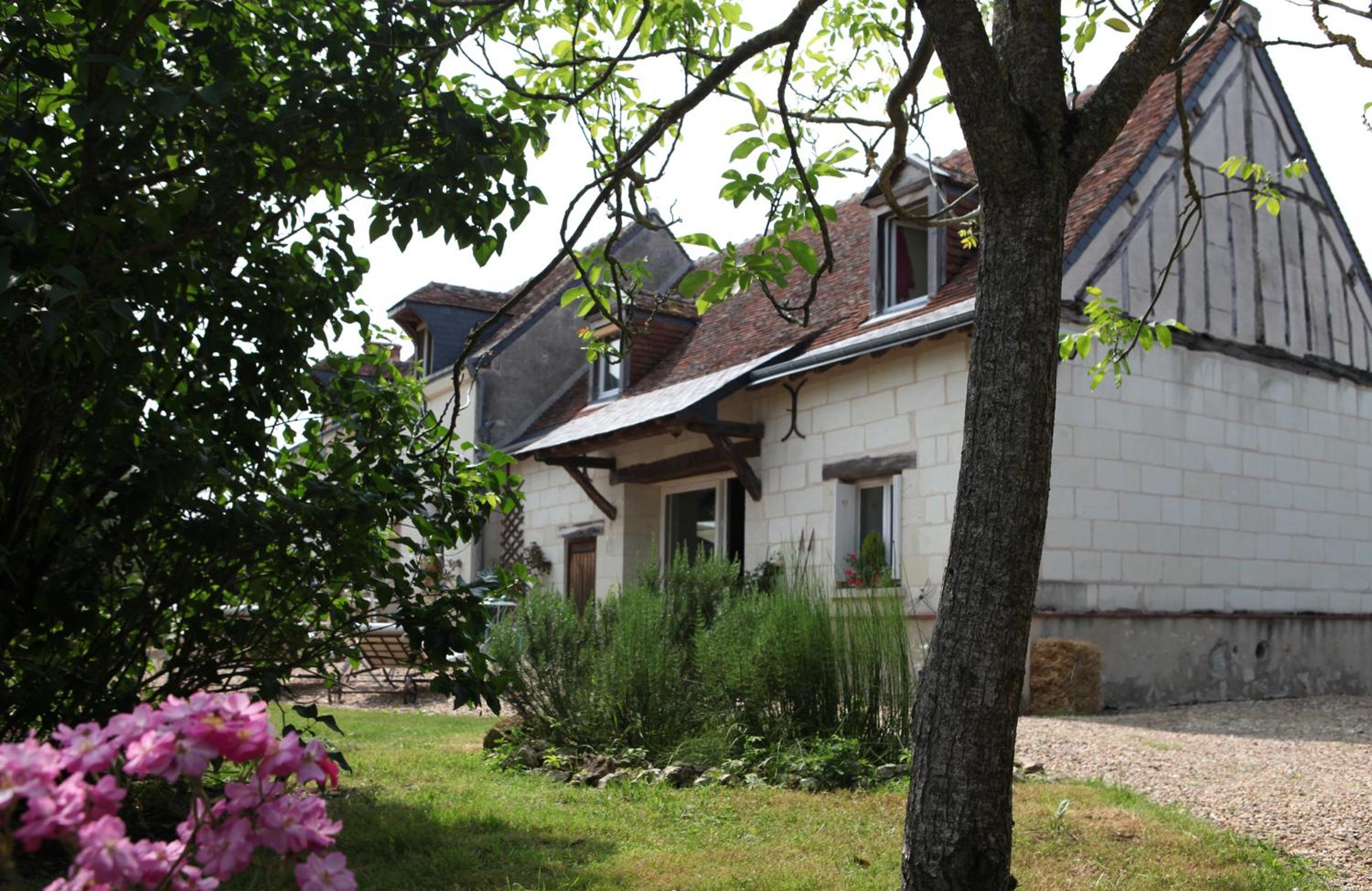 Photo 45