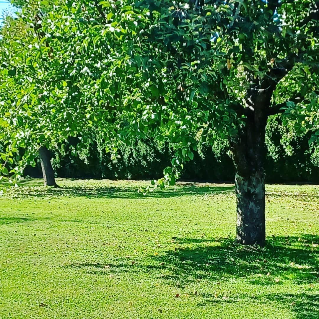 Ferienwohnung Schaller