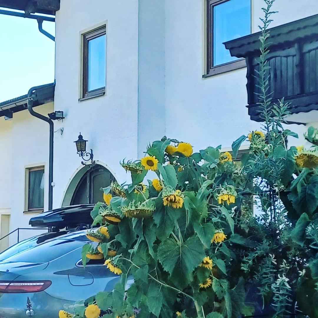 Ferienwohnung Schaller