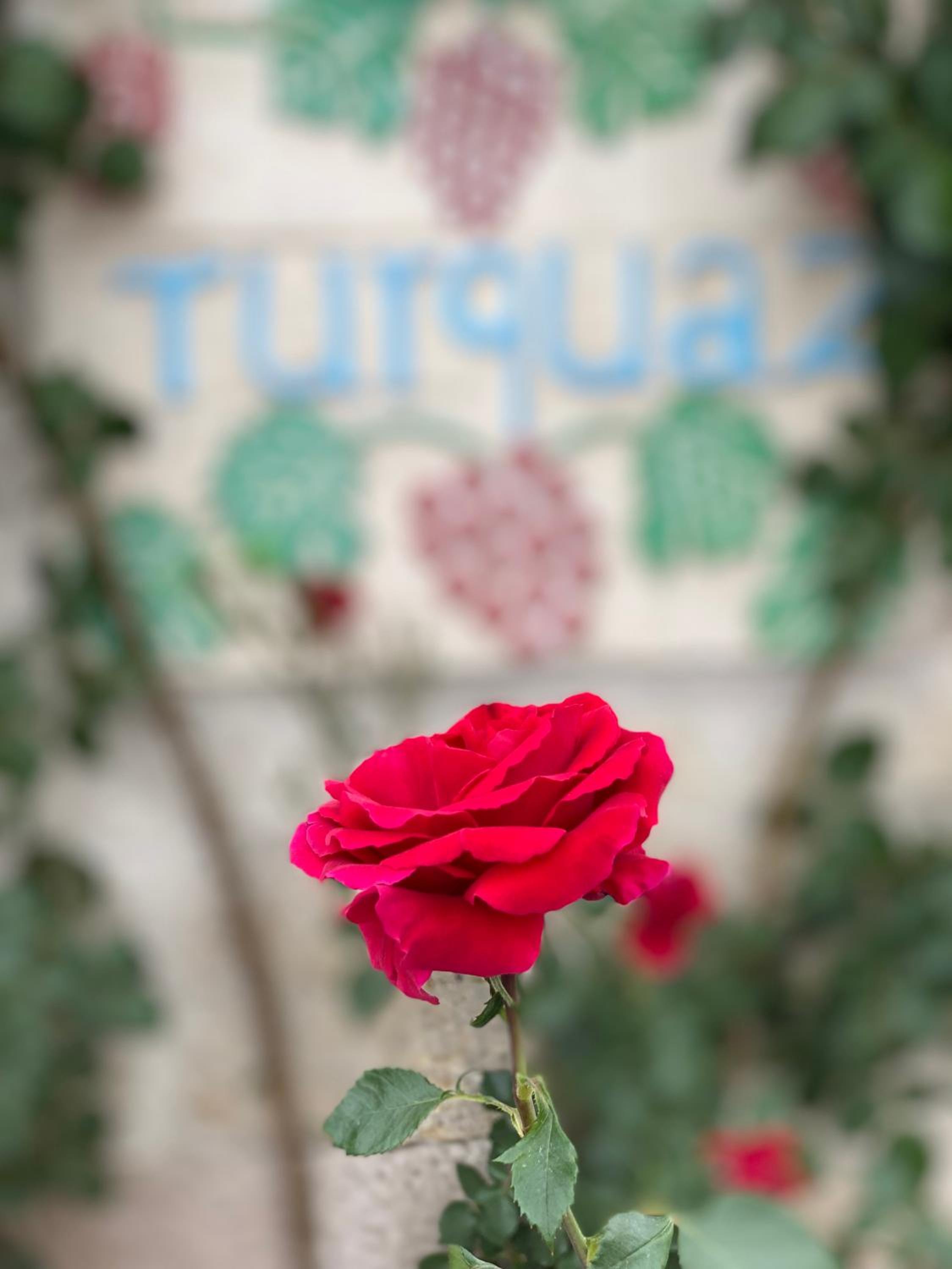 Turquaz Cave Hotel - Image 27