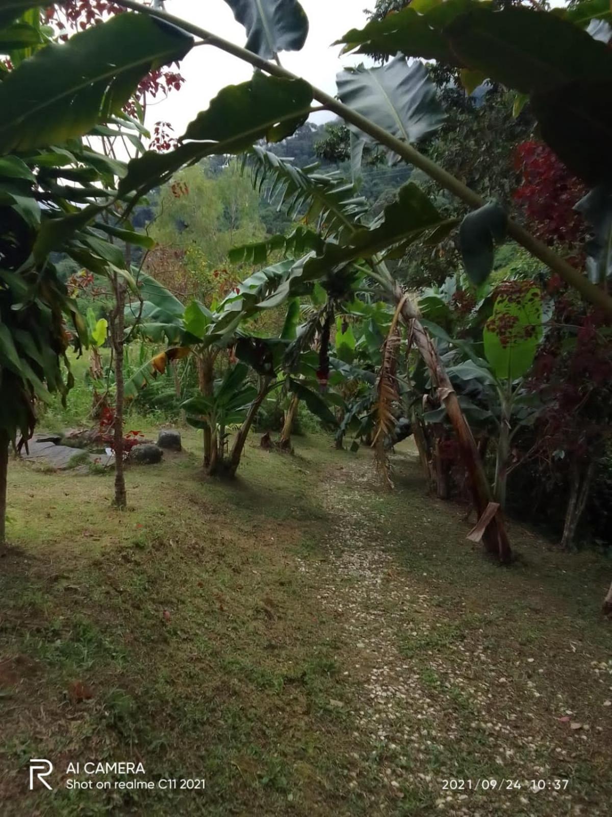 Miradores Del Oso Perezoso