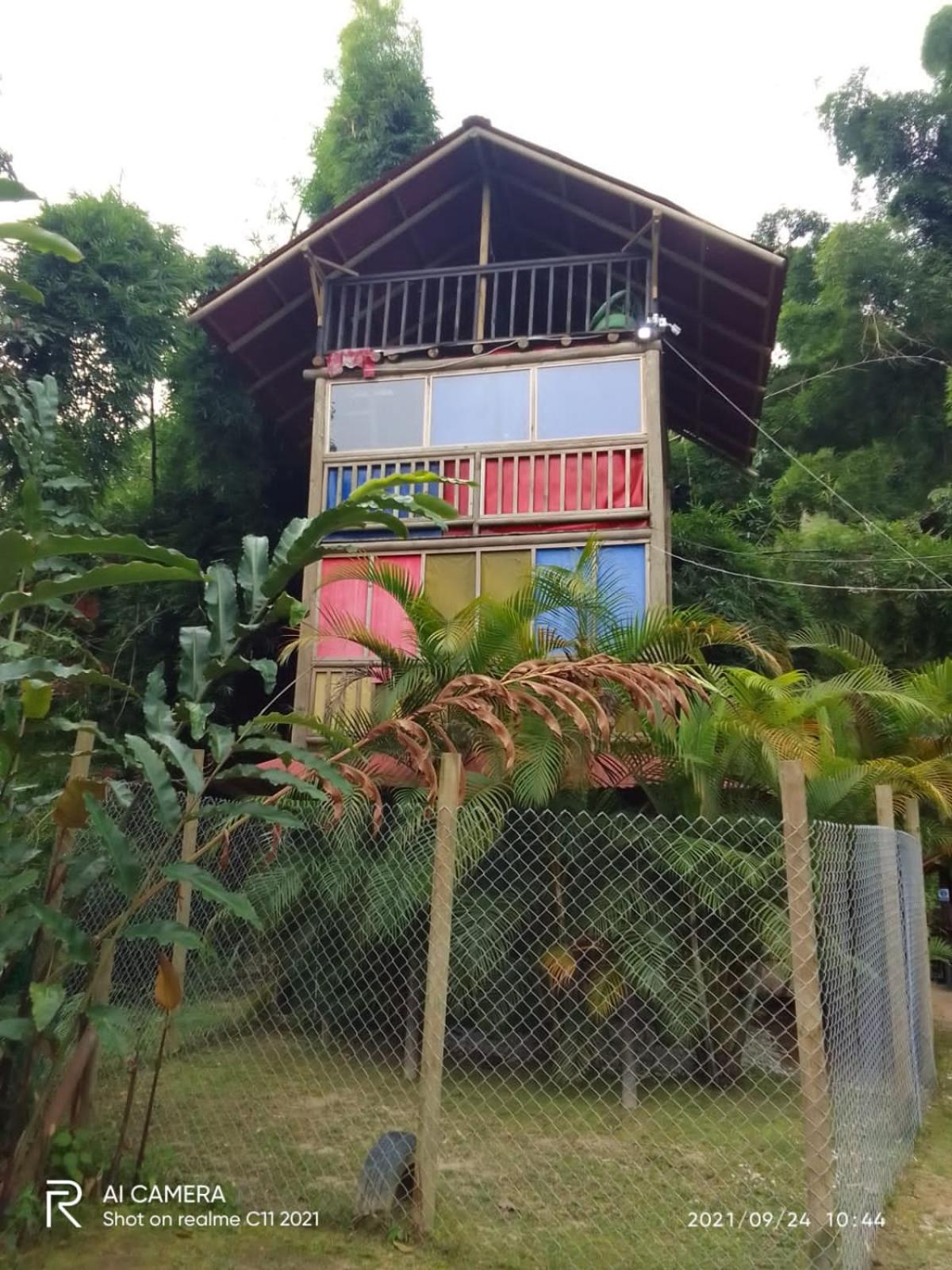 Miradores Del Oso Perezoso
