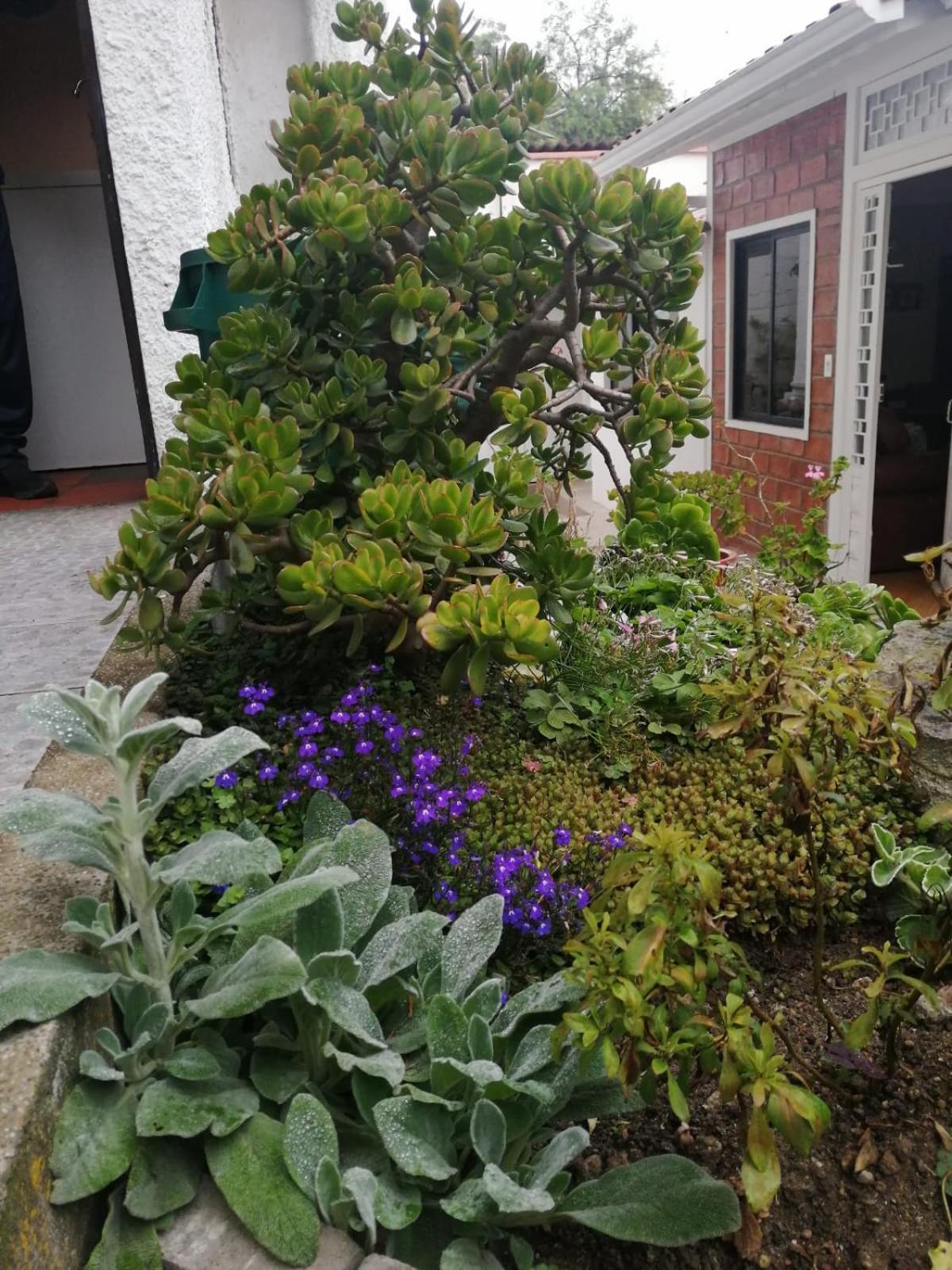 Photo 33
