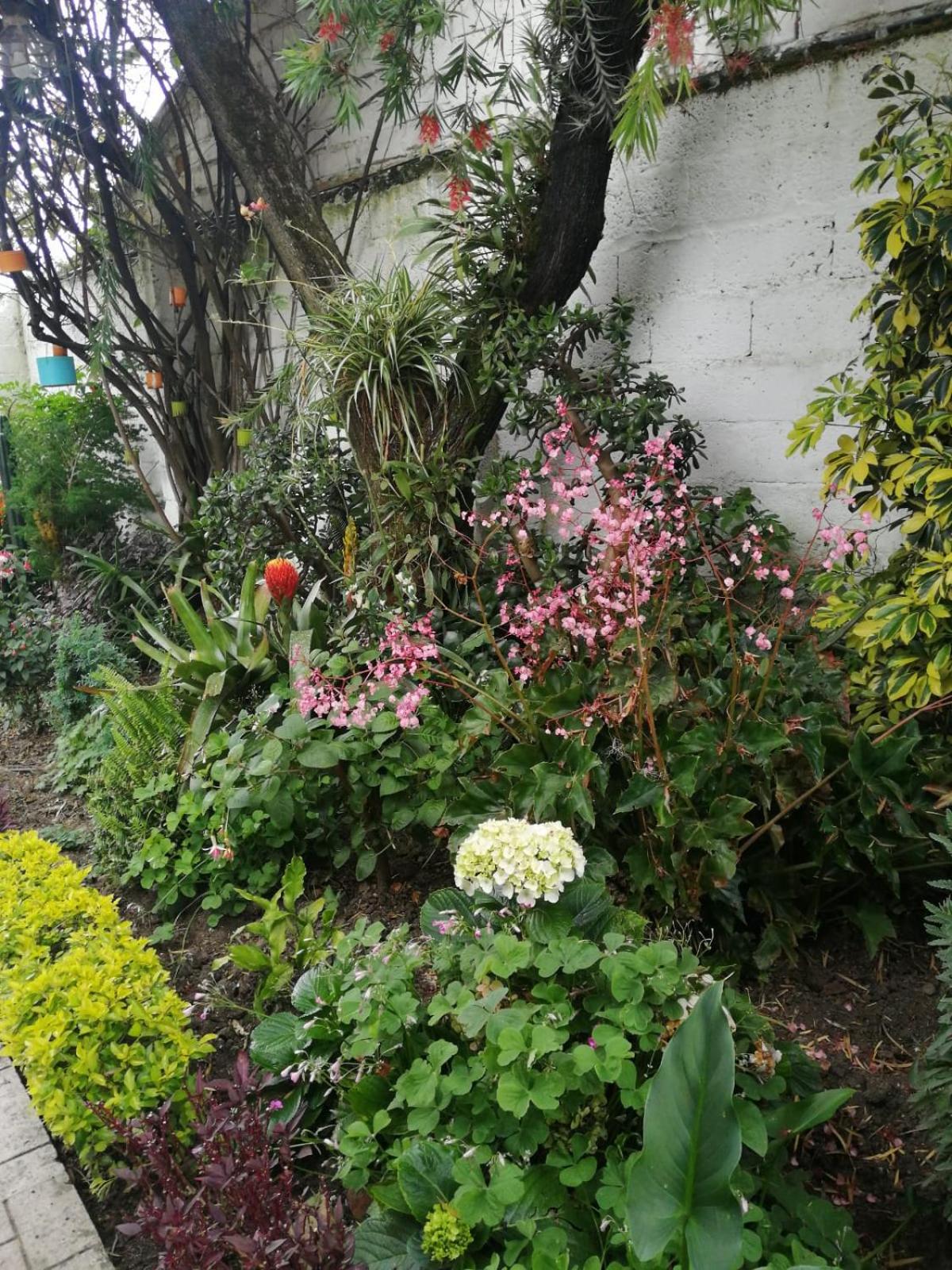Photo 32
