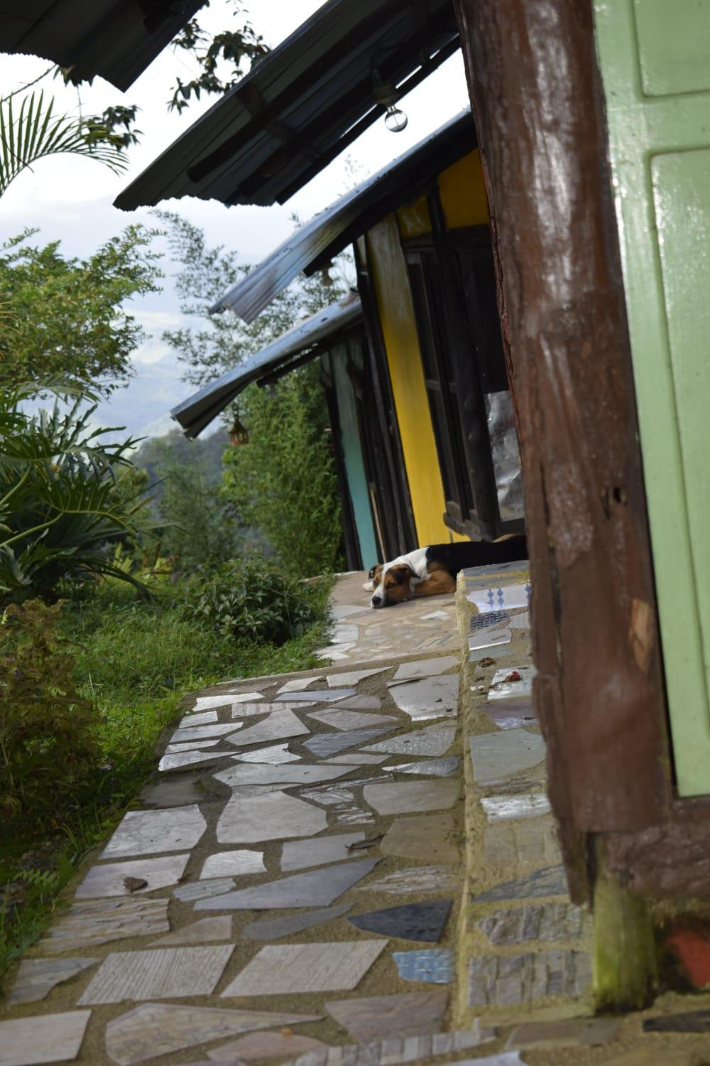 PosadaManduka Eco-Hostel - Property Image 11