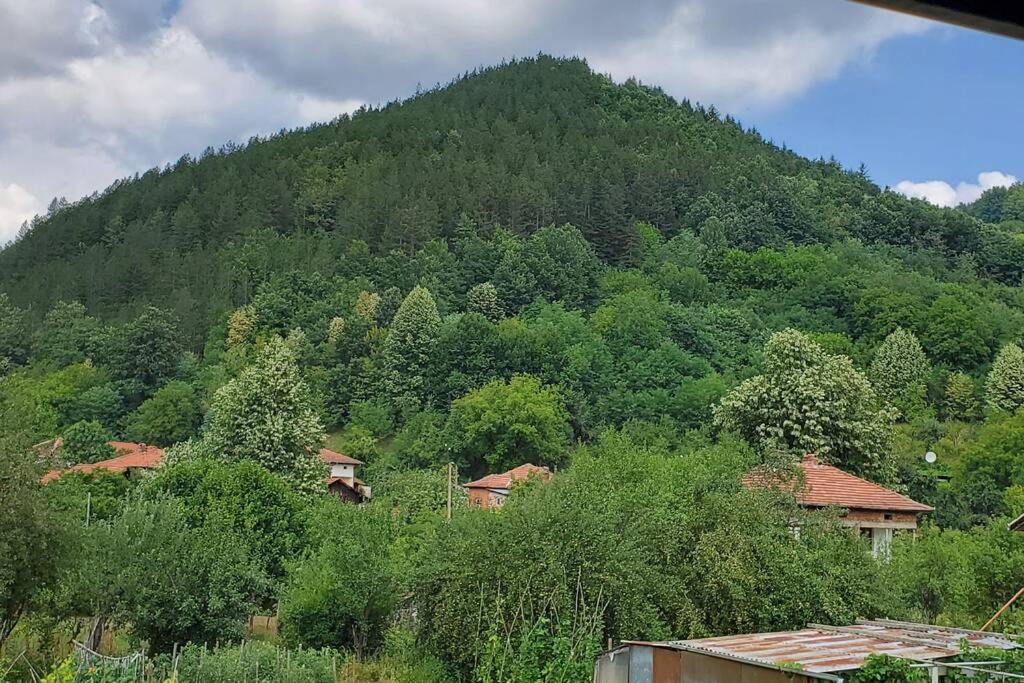 Двете къщи в планината
