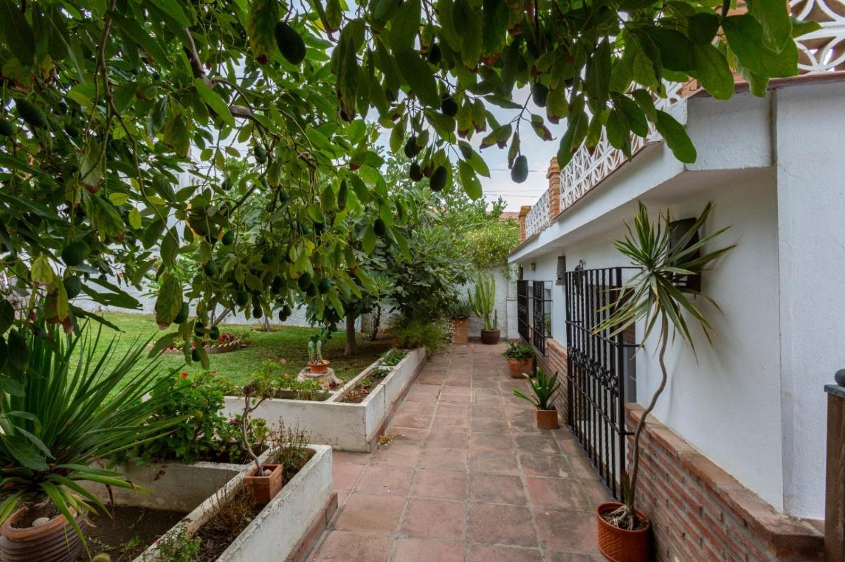 Bonito chalet en La Cala con gran jardín privado photo 3