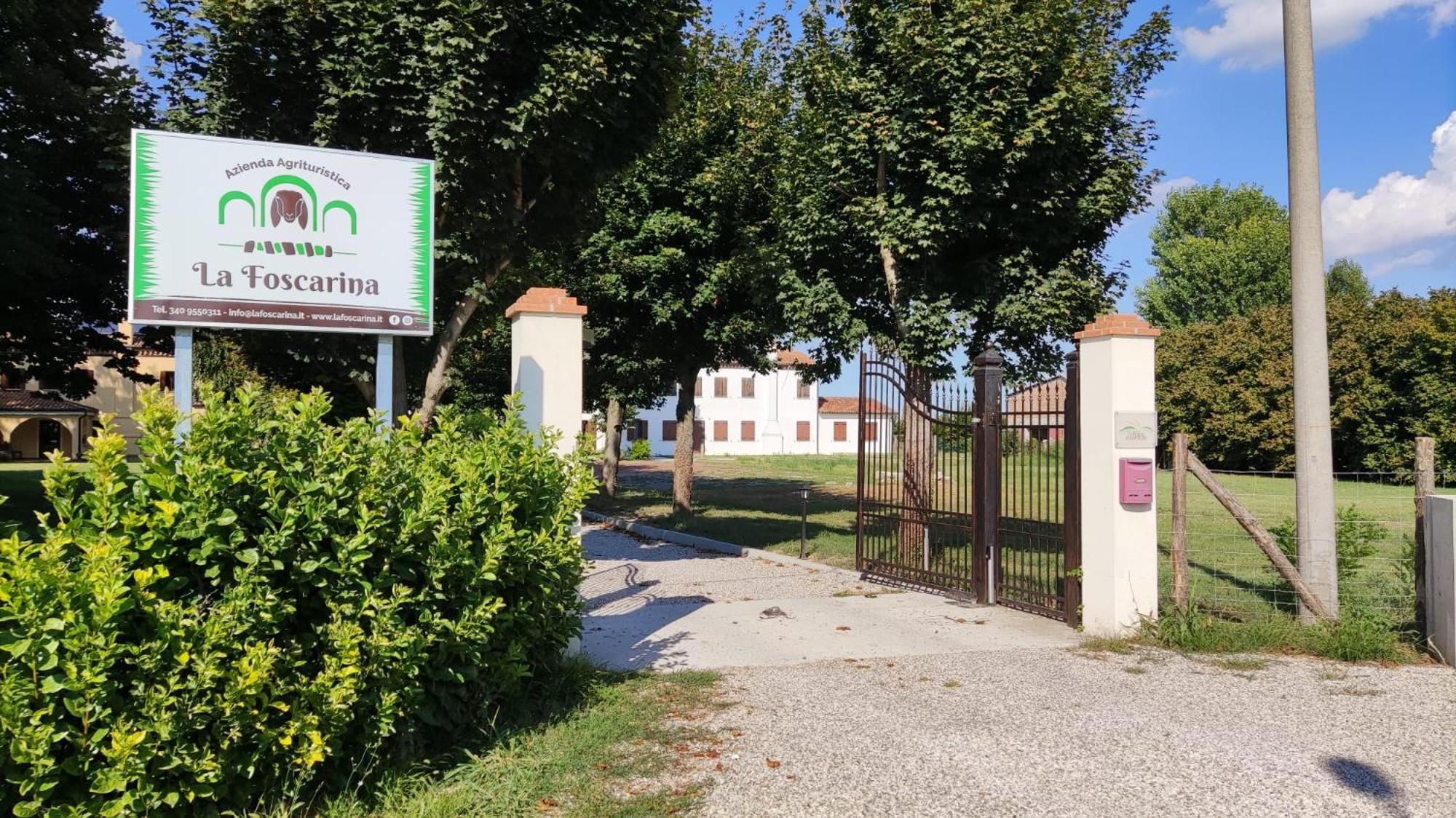 Agriturismo La Foscarina view 2