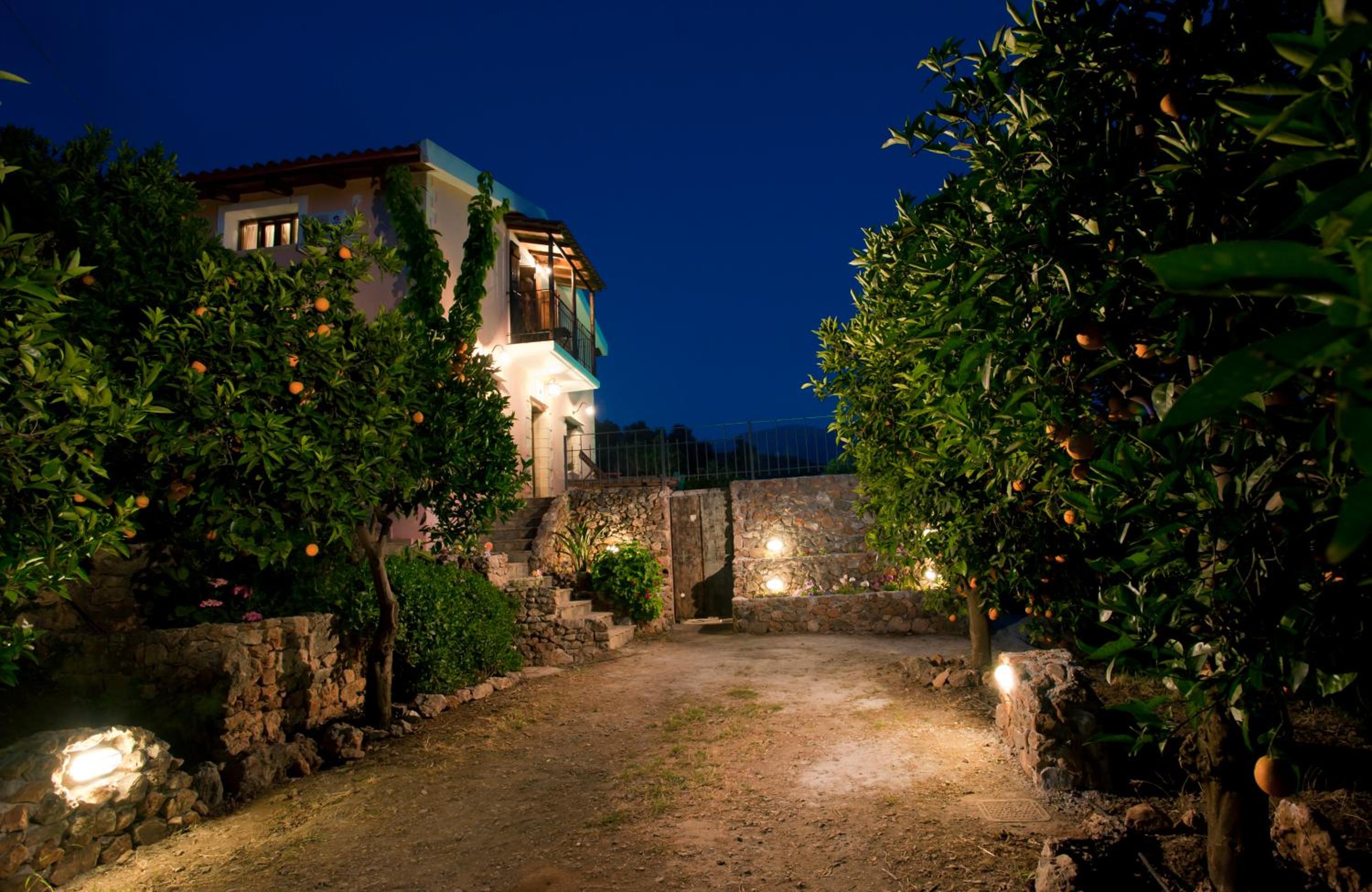 Photo 11
