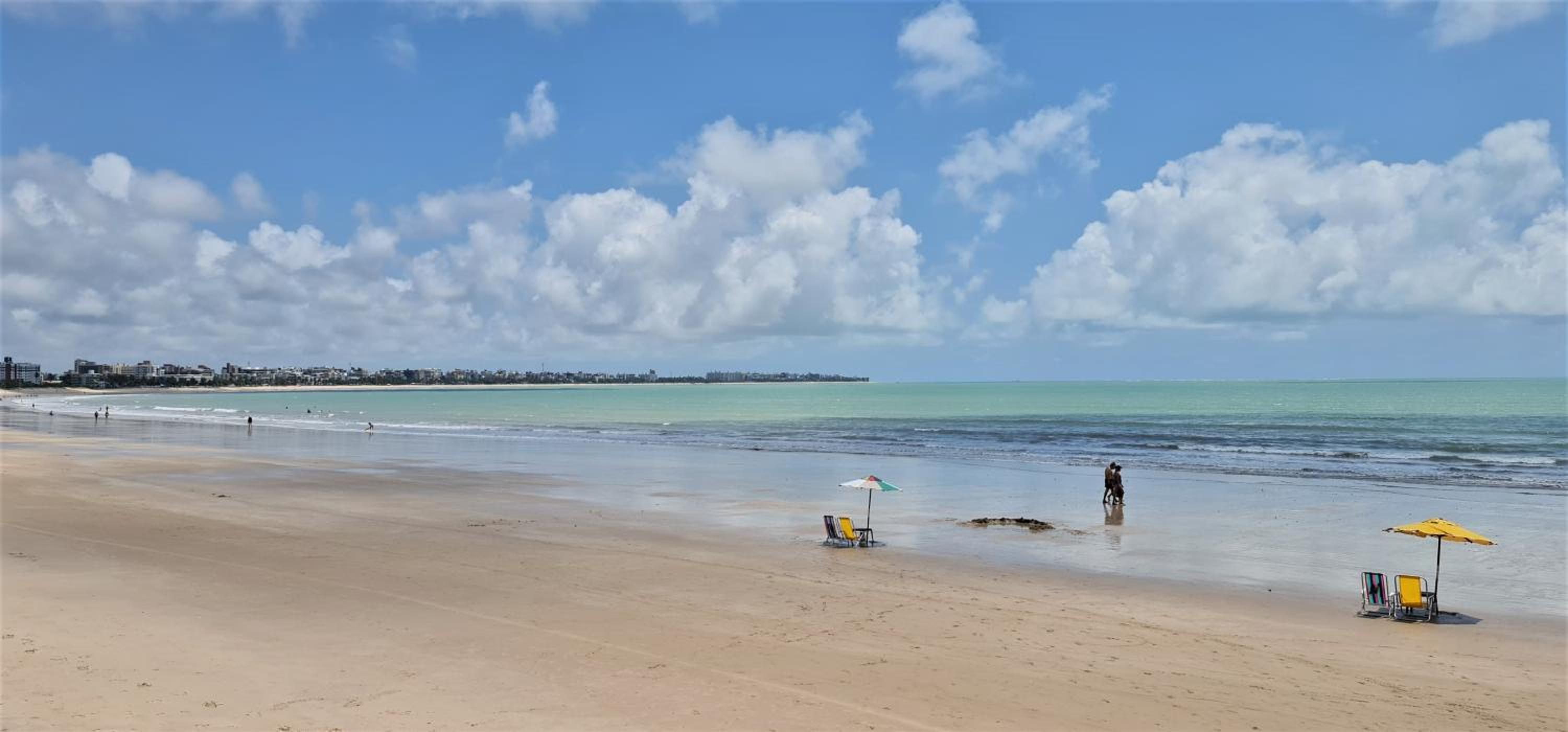 Flat Tropical Caribessa