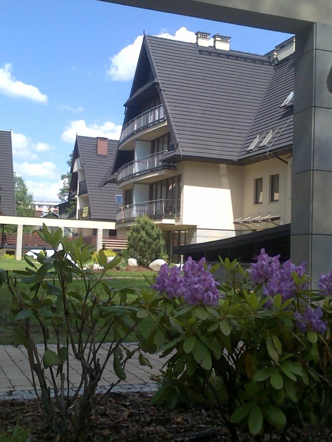 Apartament VIP view 5