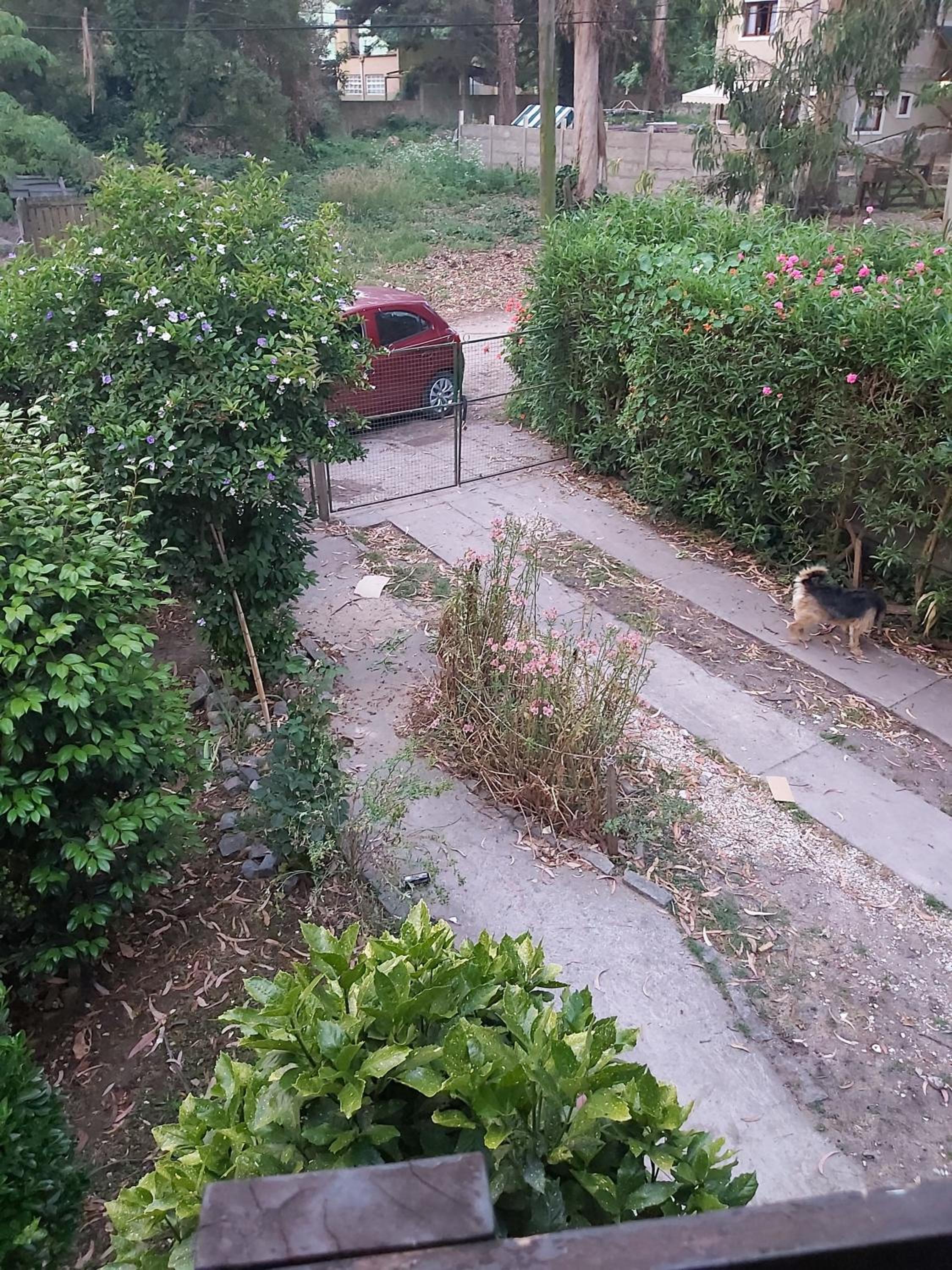 Cabaña Bosque peralta ramos