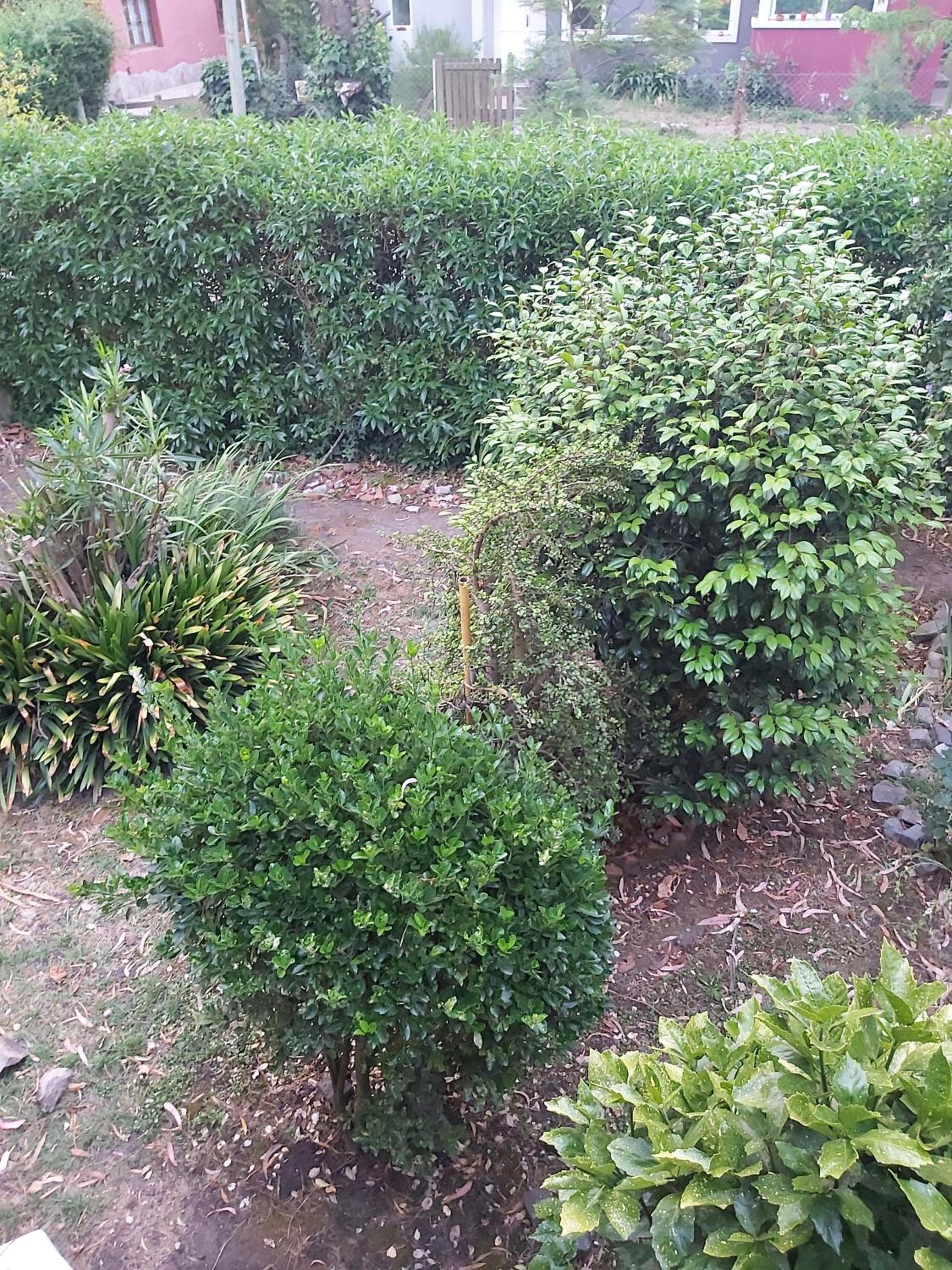 Cabaña Bosque peralta ramos