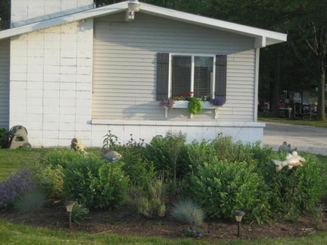 Photo 54