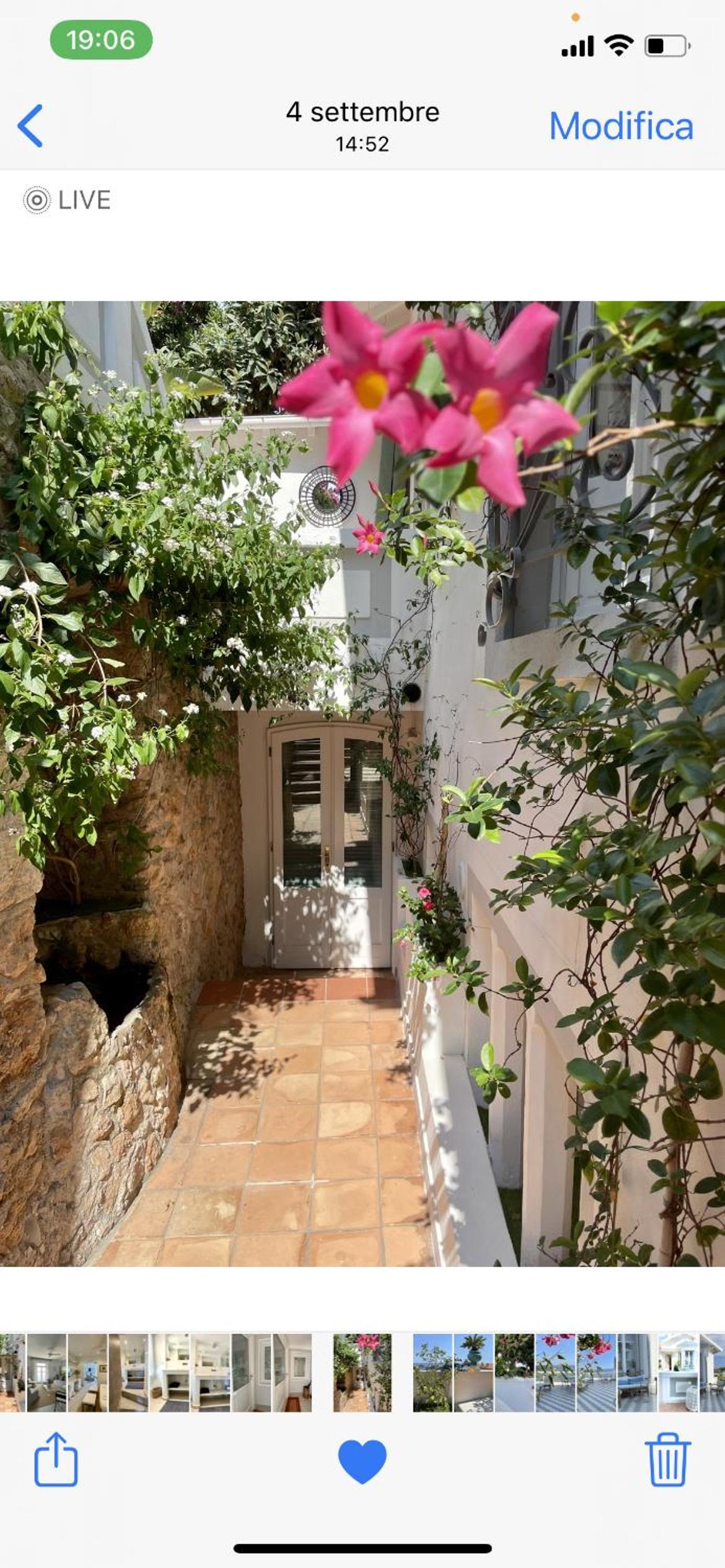 Les Lilas, photo 83