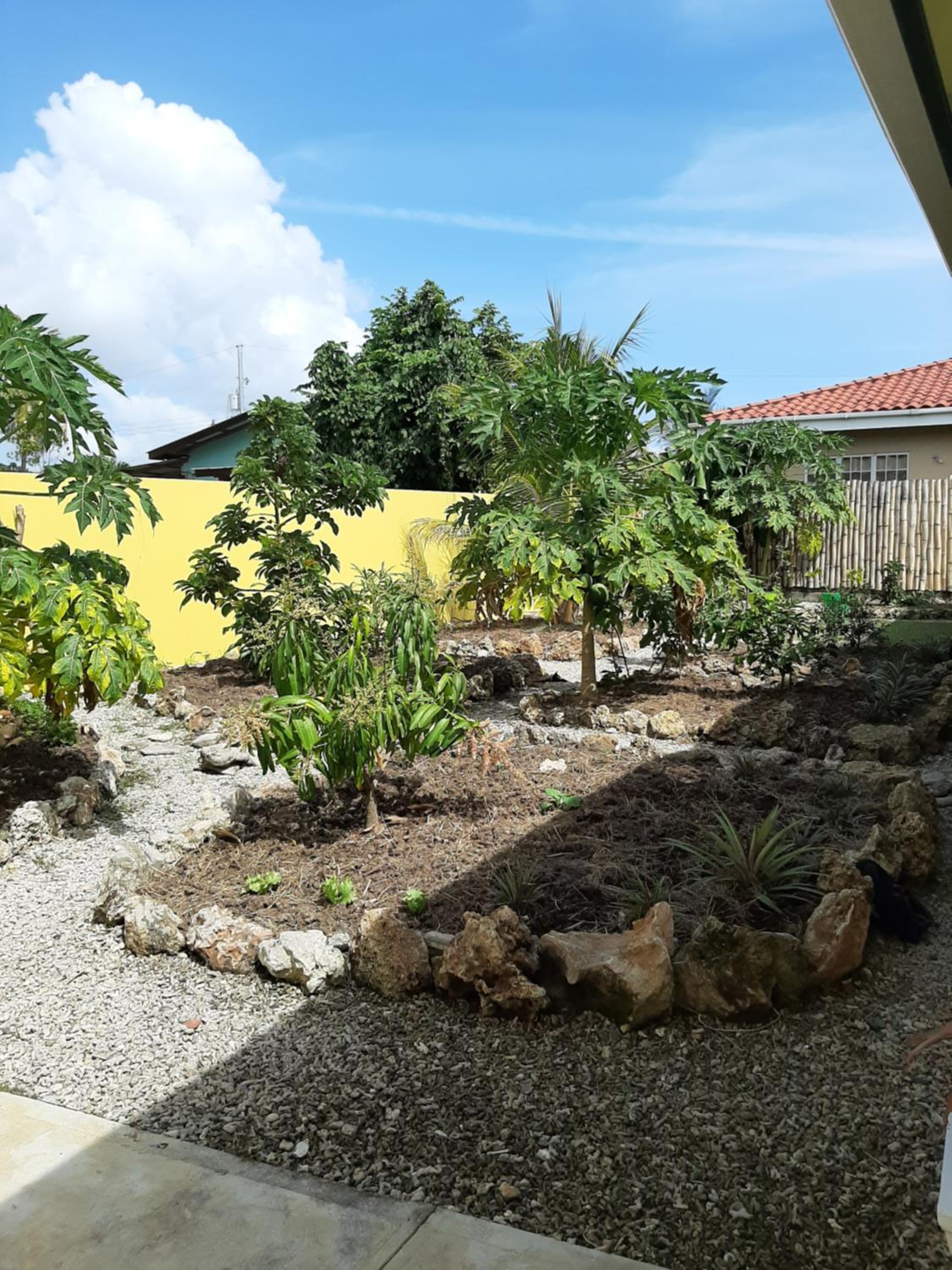 CC Best Villas Tobago