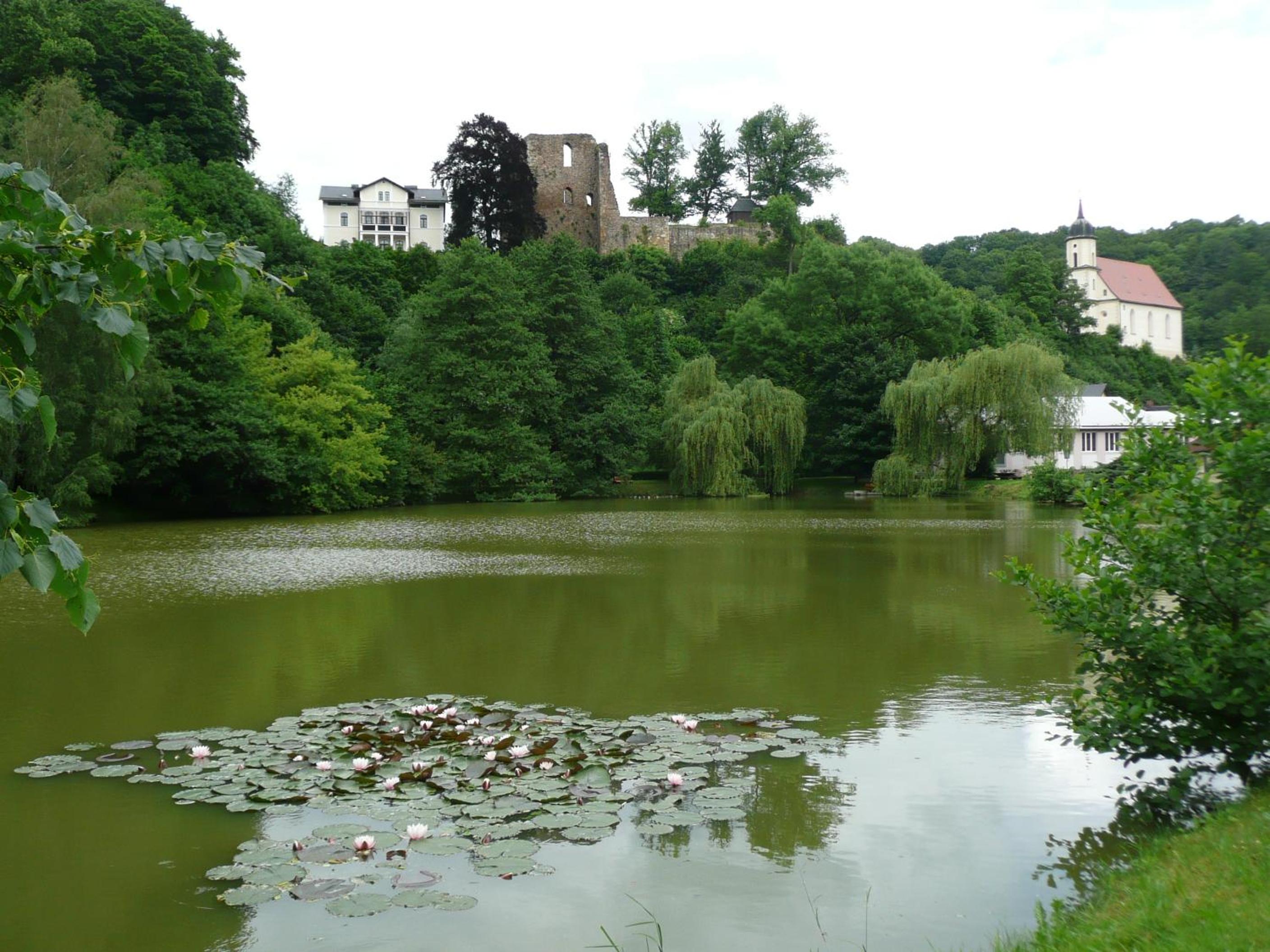 Photo 22