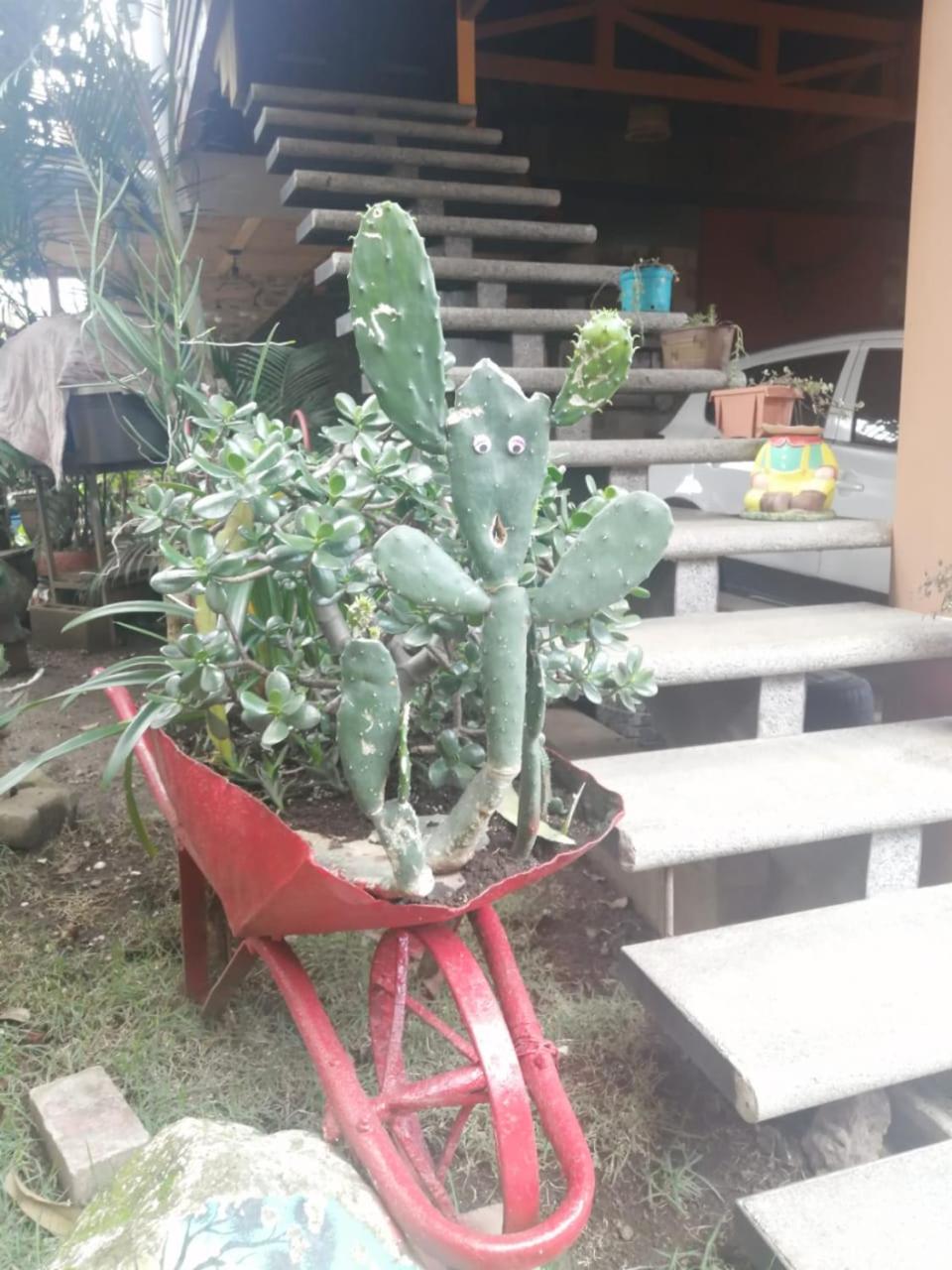 Photo 28