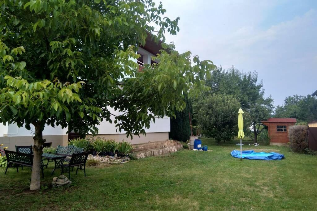 Photo 24