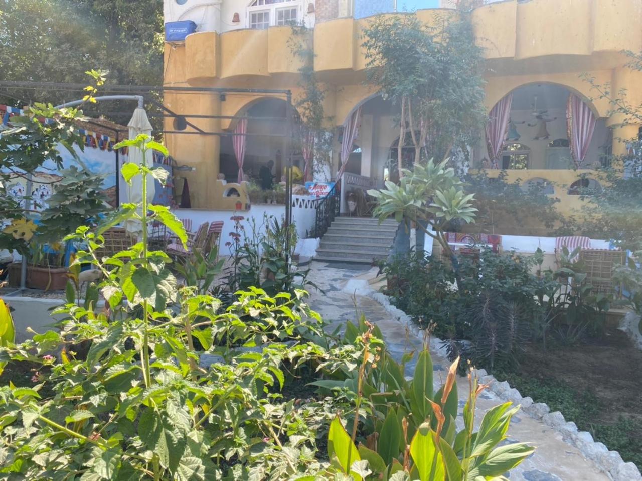 The Mango Guest House — photo 9