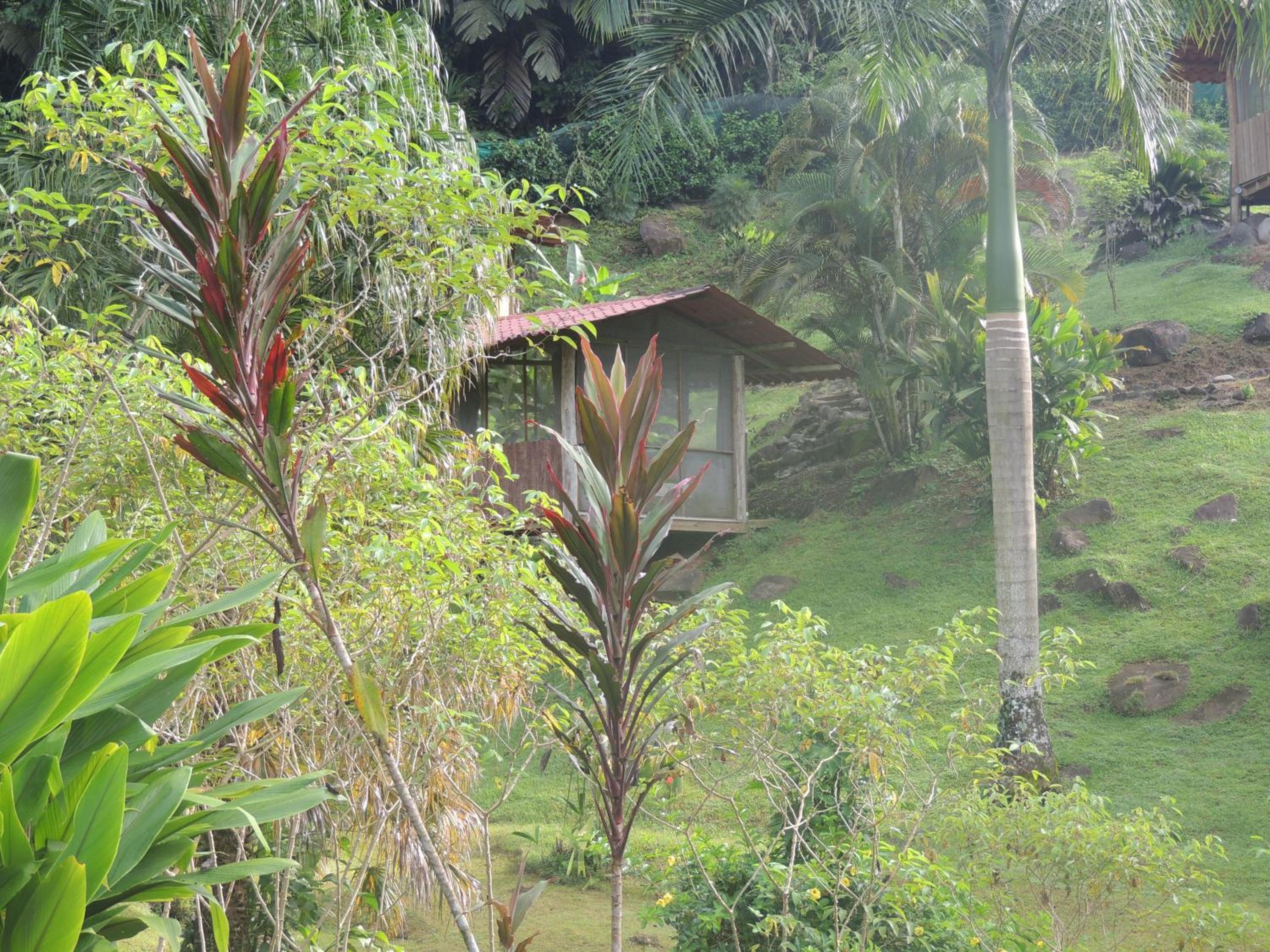 Pacuare River Lodge
