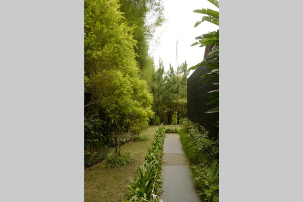 The Pines Vimala Hills view 4