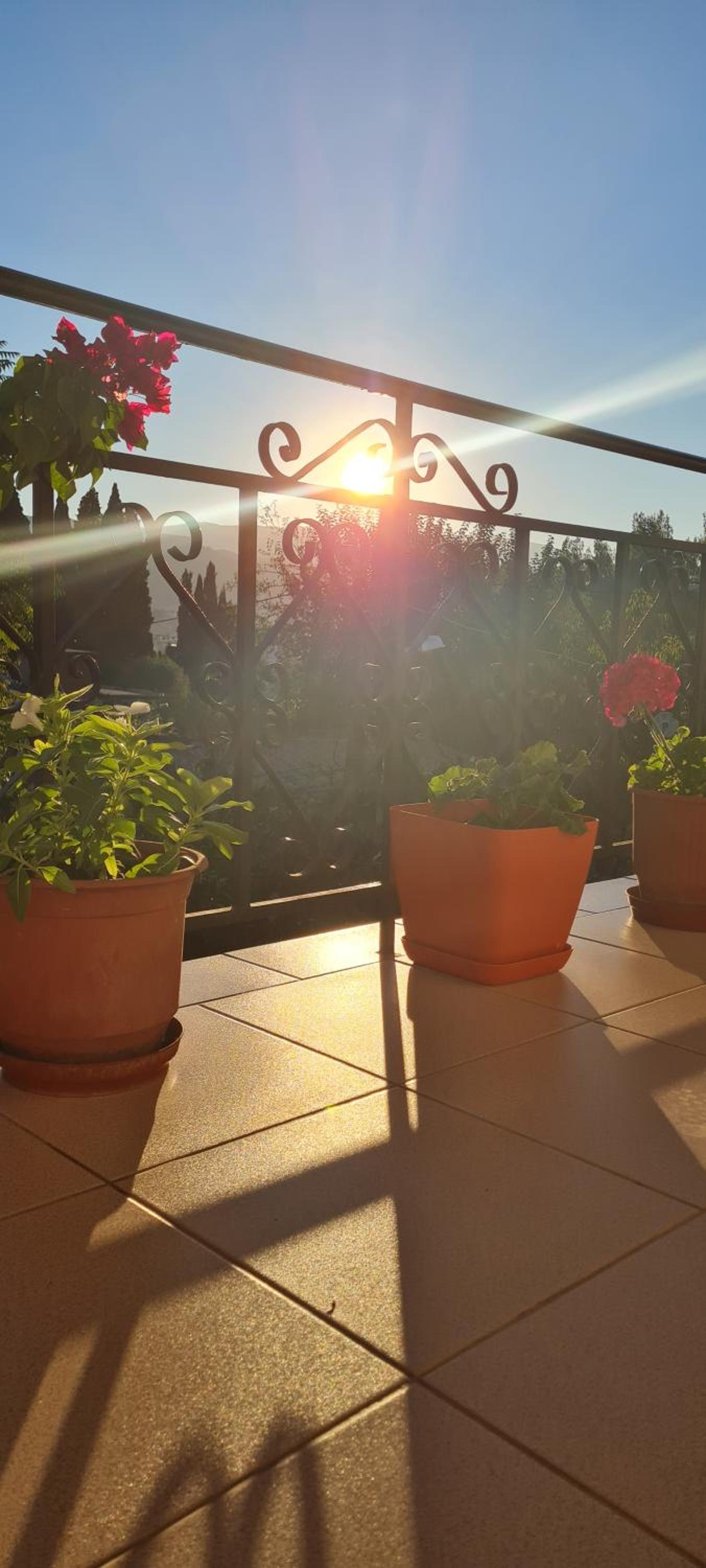 Garden Guest House, photo 6