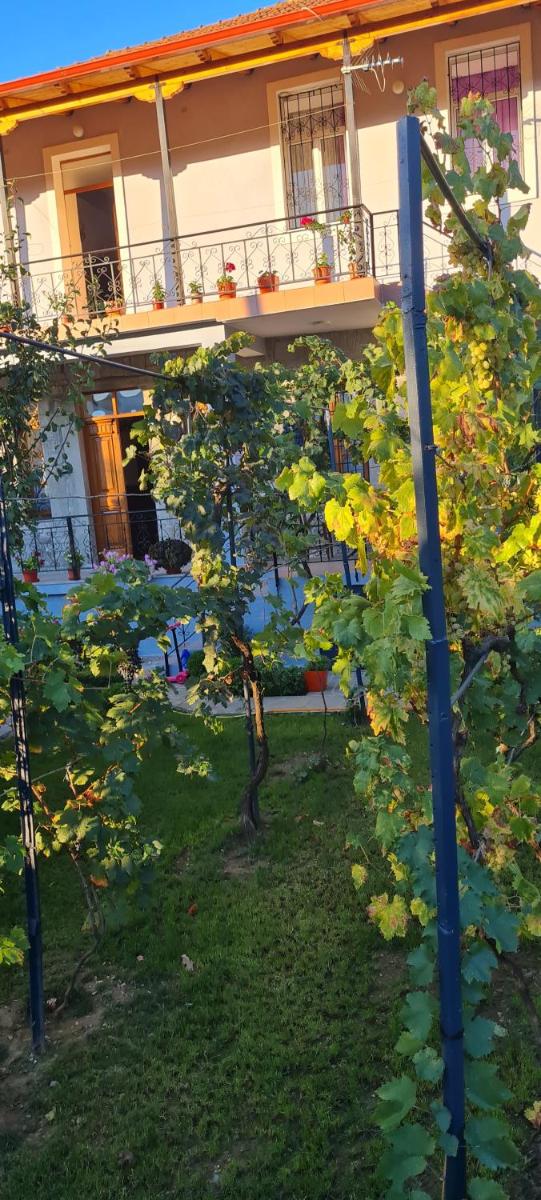 Garden Guest House
