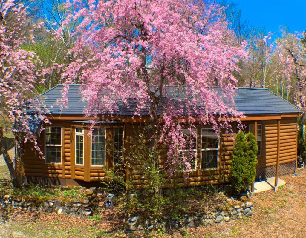 Hakuba Canadian Lodge
