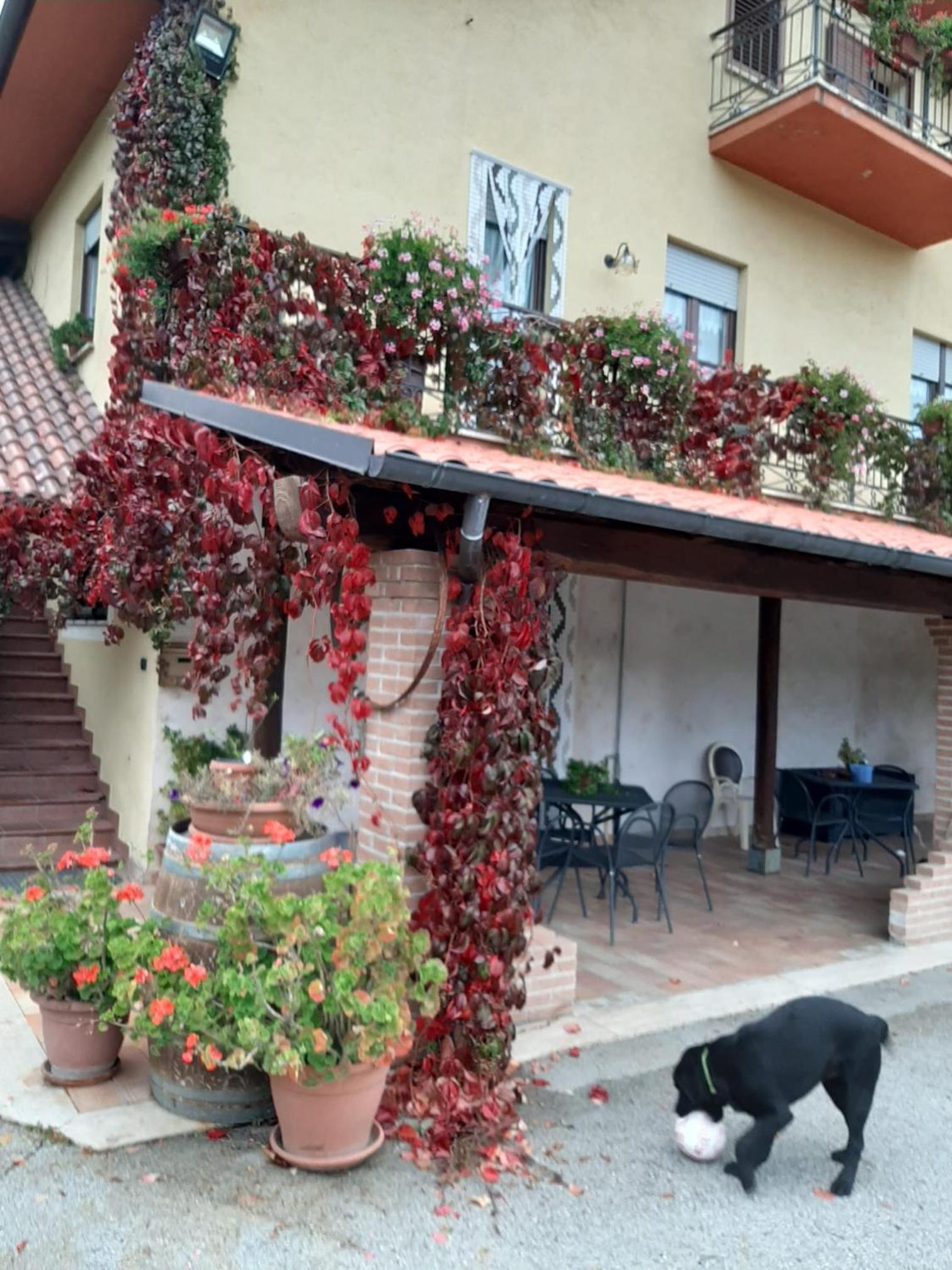 Le Stanze di Bacco