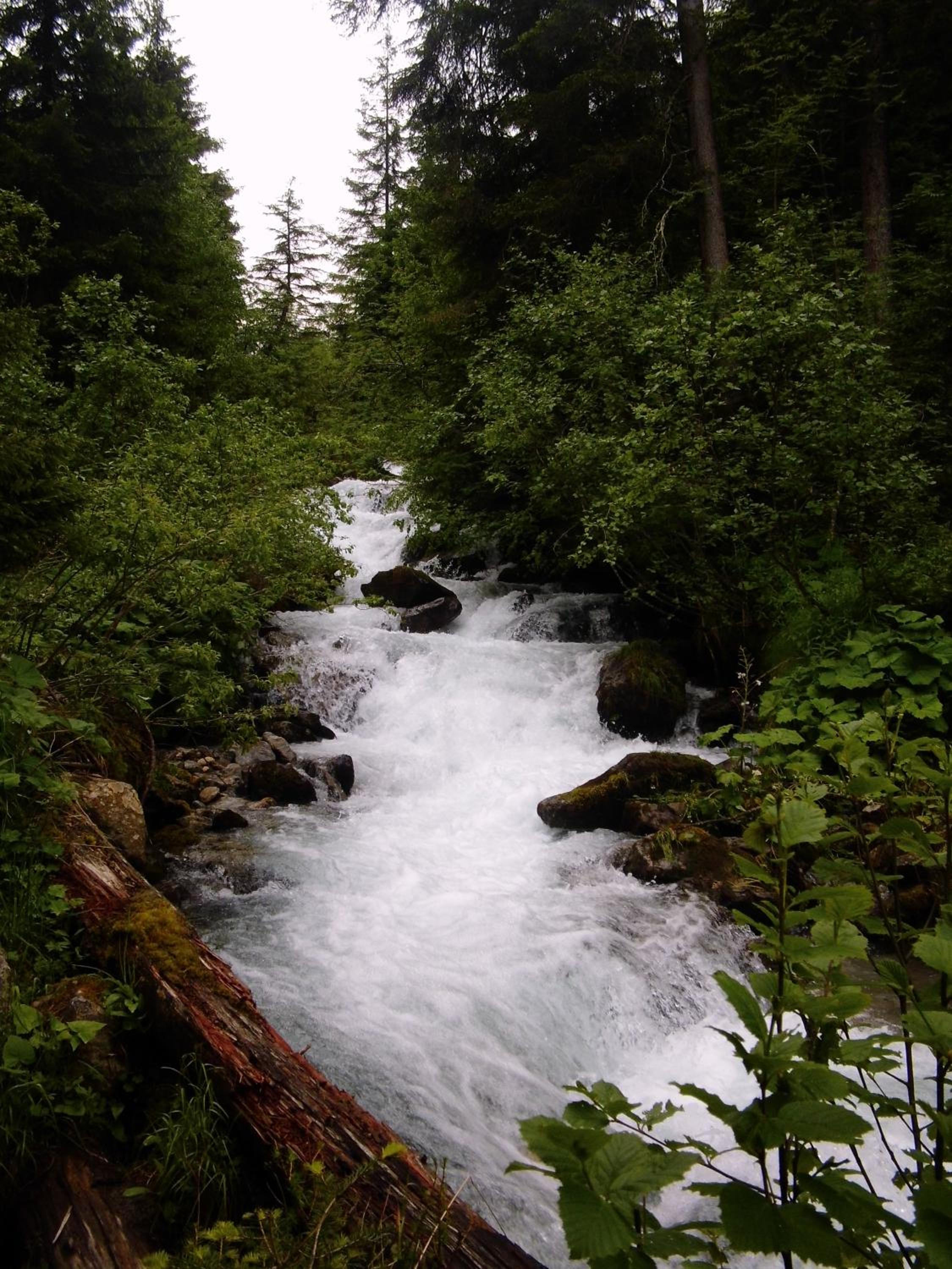 Photo 28