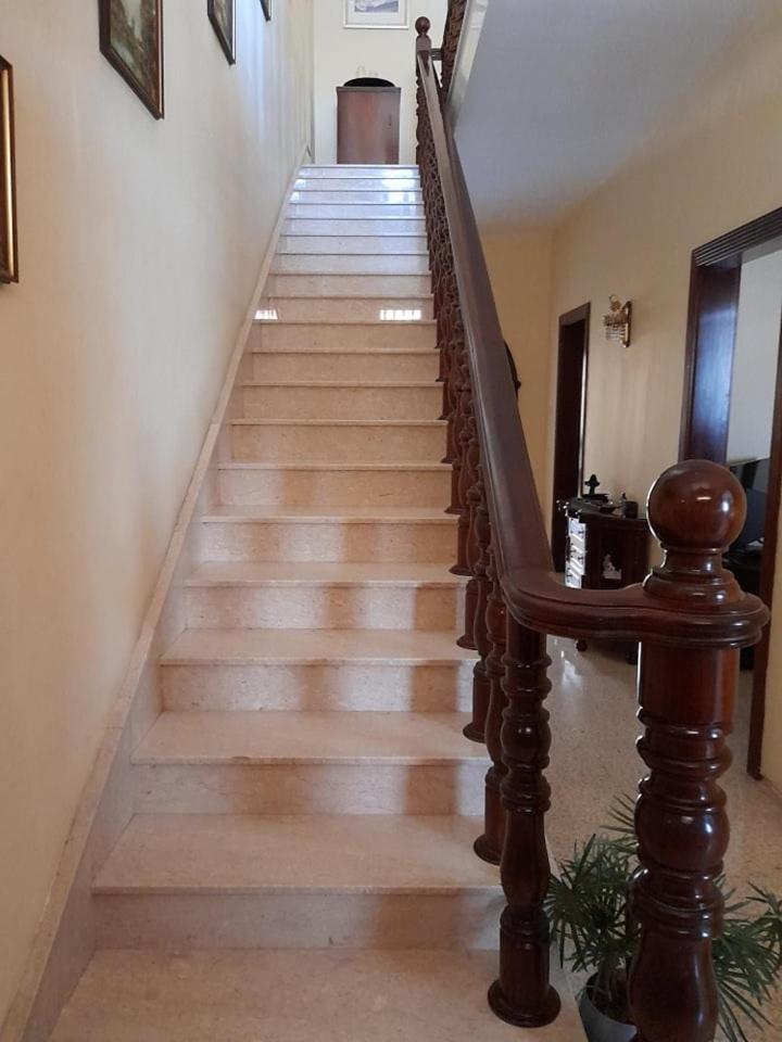 Dynesty B&B photo 5