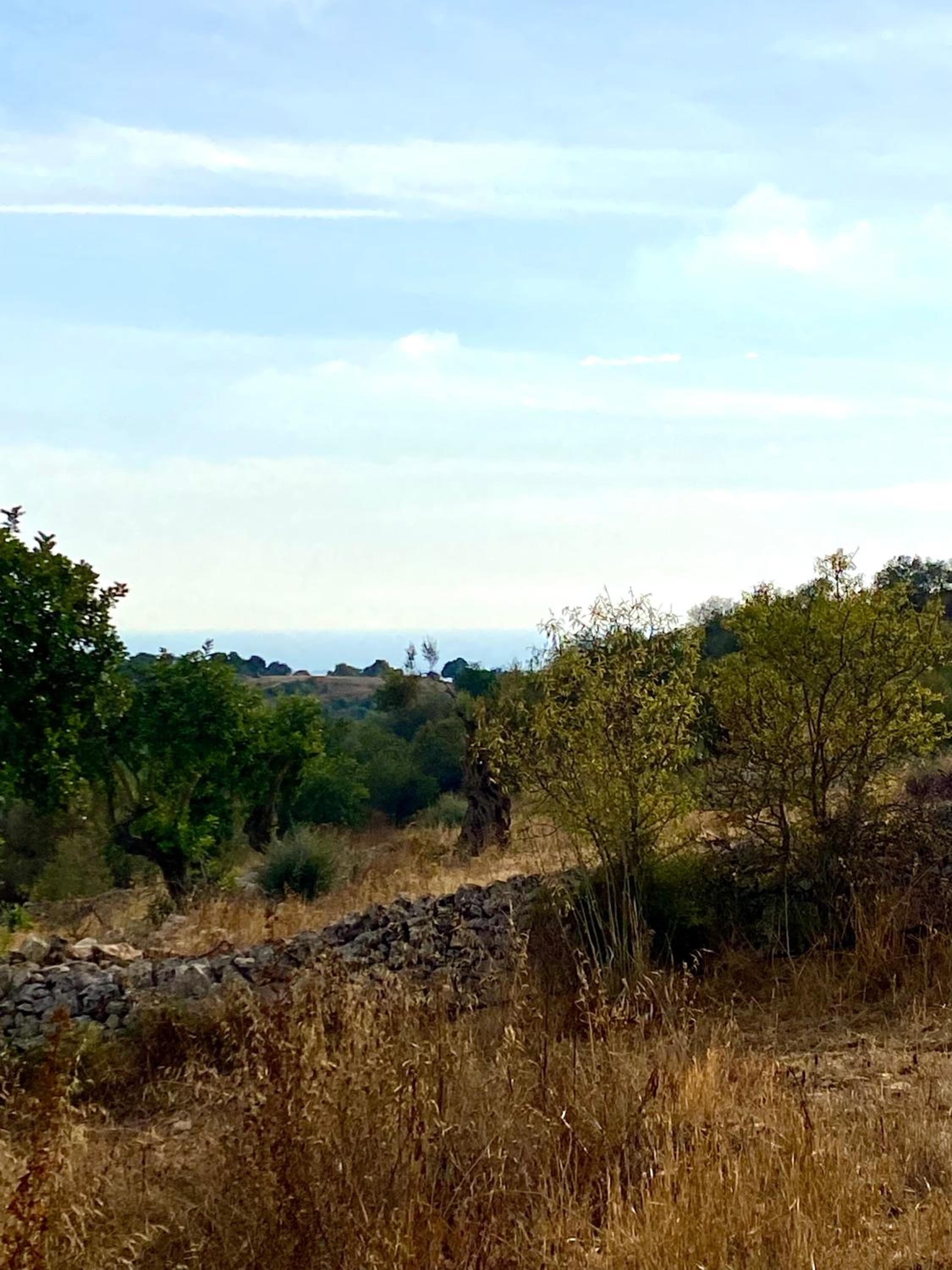 Tenuta Cammarana
