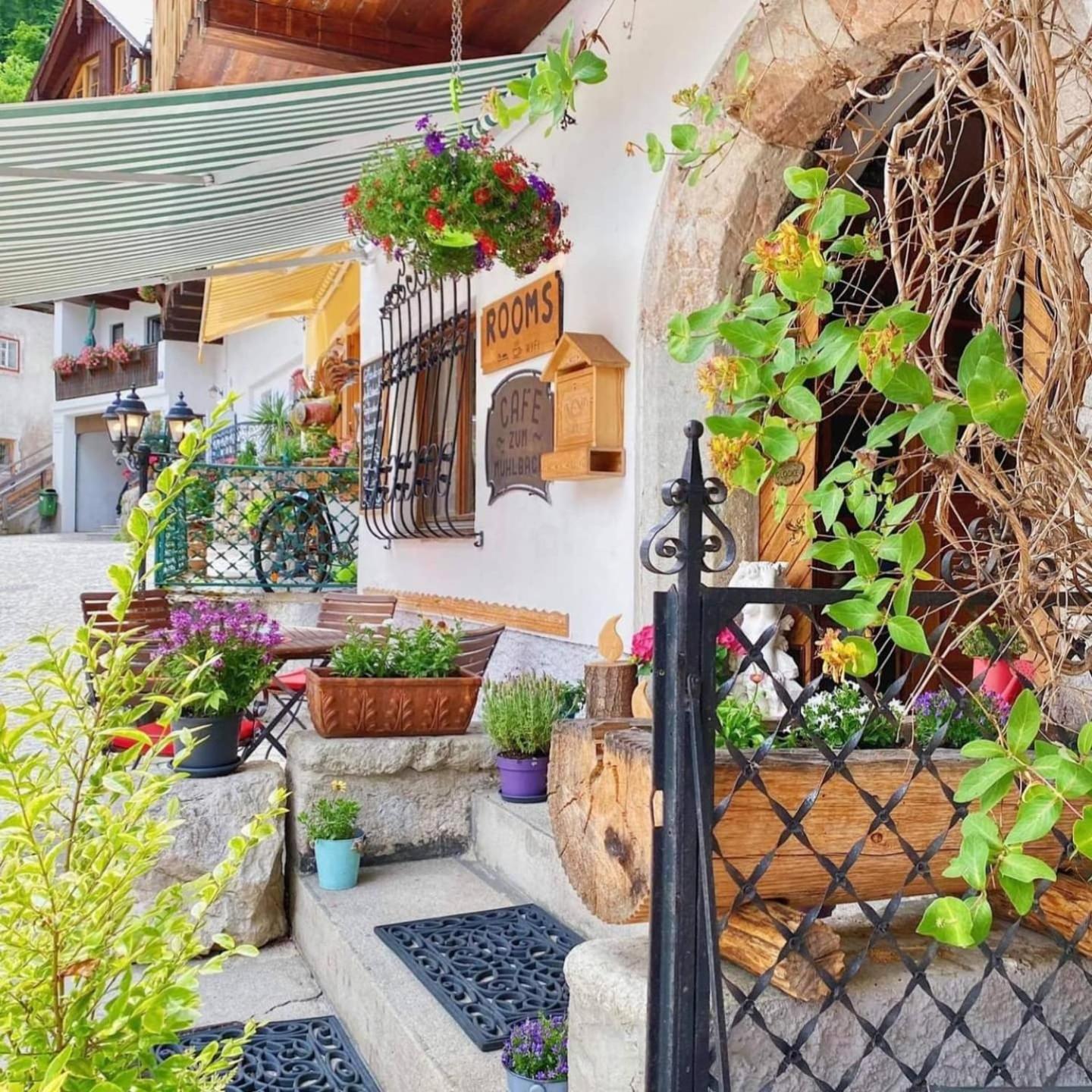 Café Pension Leopoldine